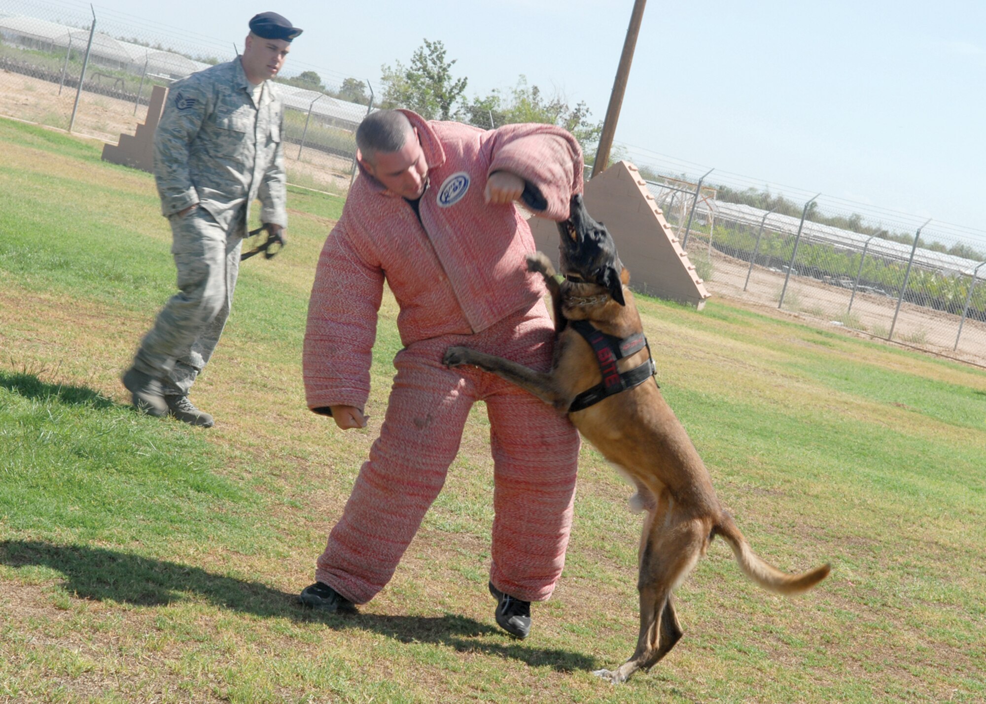 Military working dog, Roc, demonstrates an attack scenario for the Kazakhstan and Arizona National Guard visitors. (U.S. Air Force photo/ Tech. Sgt. Jeffery Wolfe)