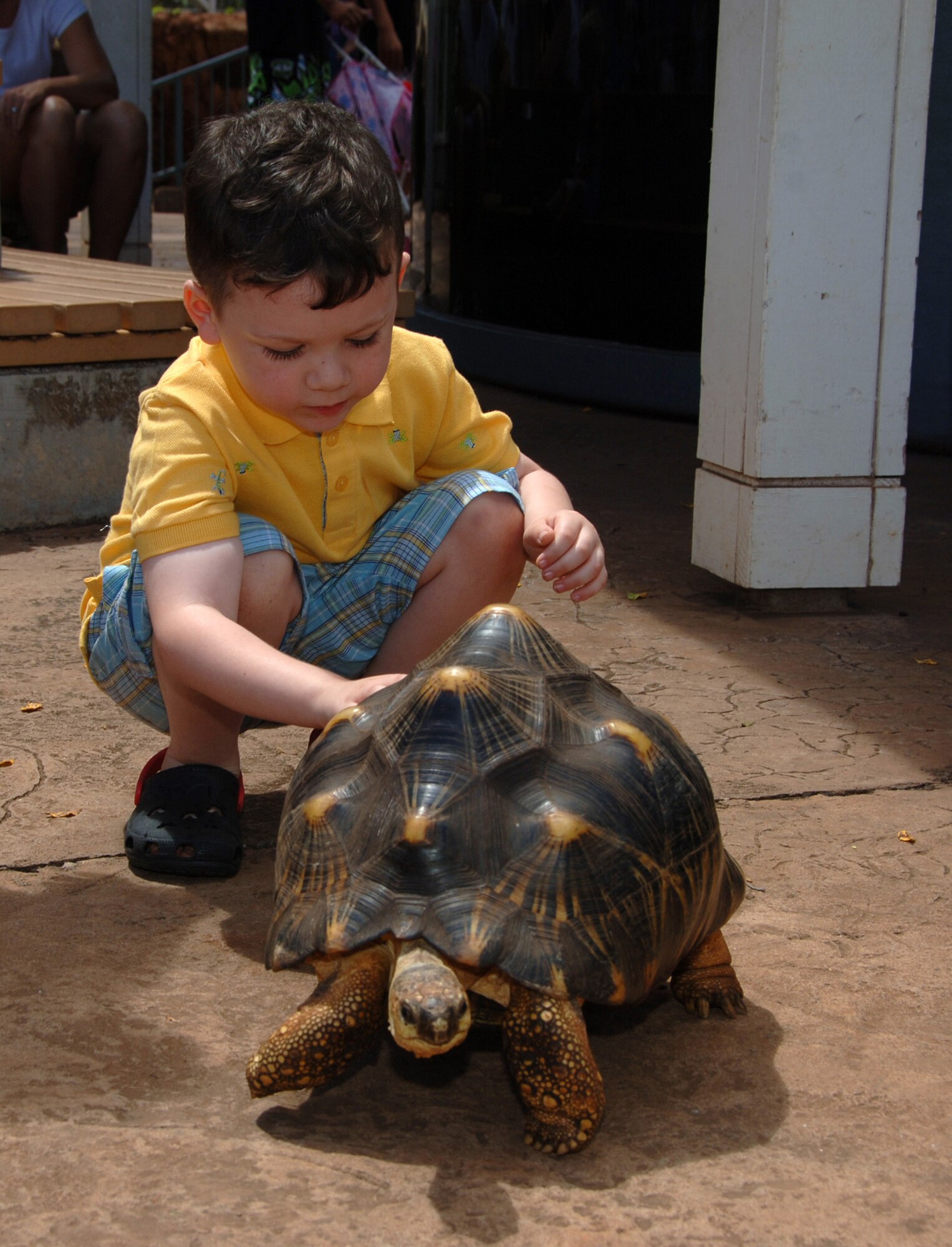HICKAM AIR FORCE BASE, Hawaii – Zachary Mote, 4, takes advantage of the Kids Petting Zoo during Military Appreciation Day held June 6 at the Honolulu Zoo.  Zachary was accompanied by his mom, Brandy Mote, while his father, Kelvin Mote, is deployed in Iraq with the Army's 3rd Brigade.  (U.S. Air Force photo by Vanessa Perez)  