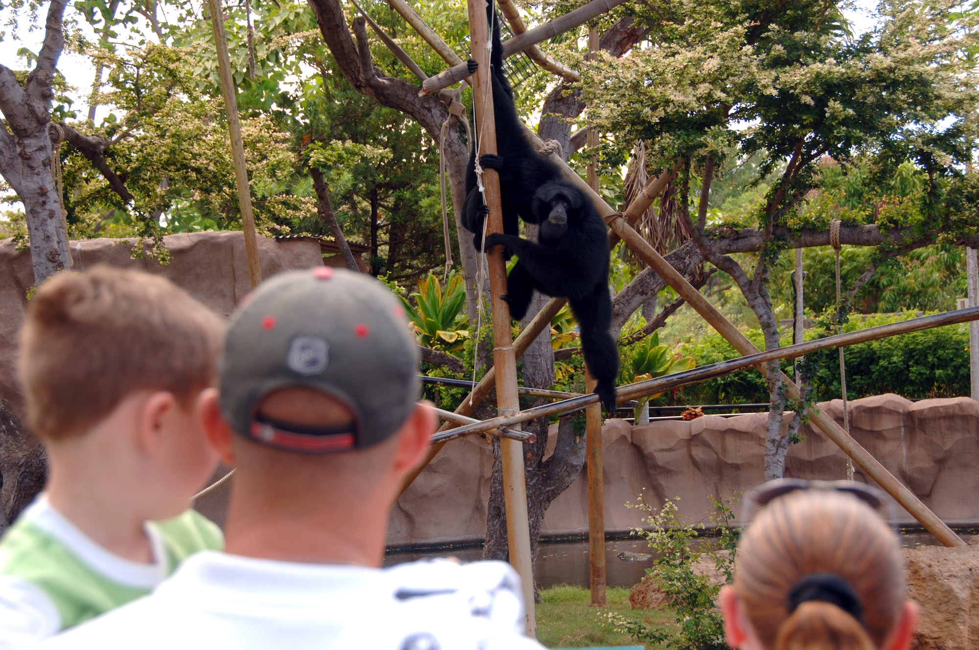 HICKAM AIR FORCE BASE, Hawaii – Military members and their families watch the wild animals at the Honolulu Zoo June 6. Admission was free to all valid military
identification card holders and family members, and the first 8,000 attendees received a free lunch.  (U.S. Air Force photo by Vanessa M. Perez)  