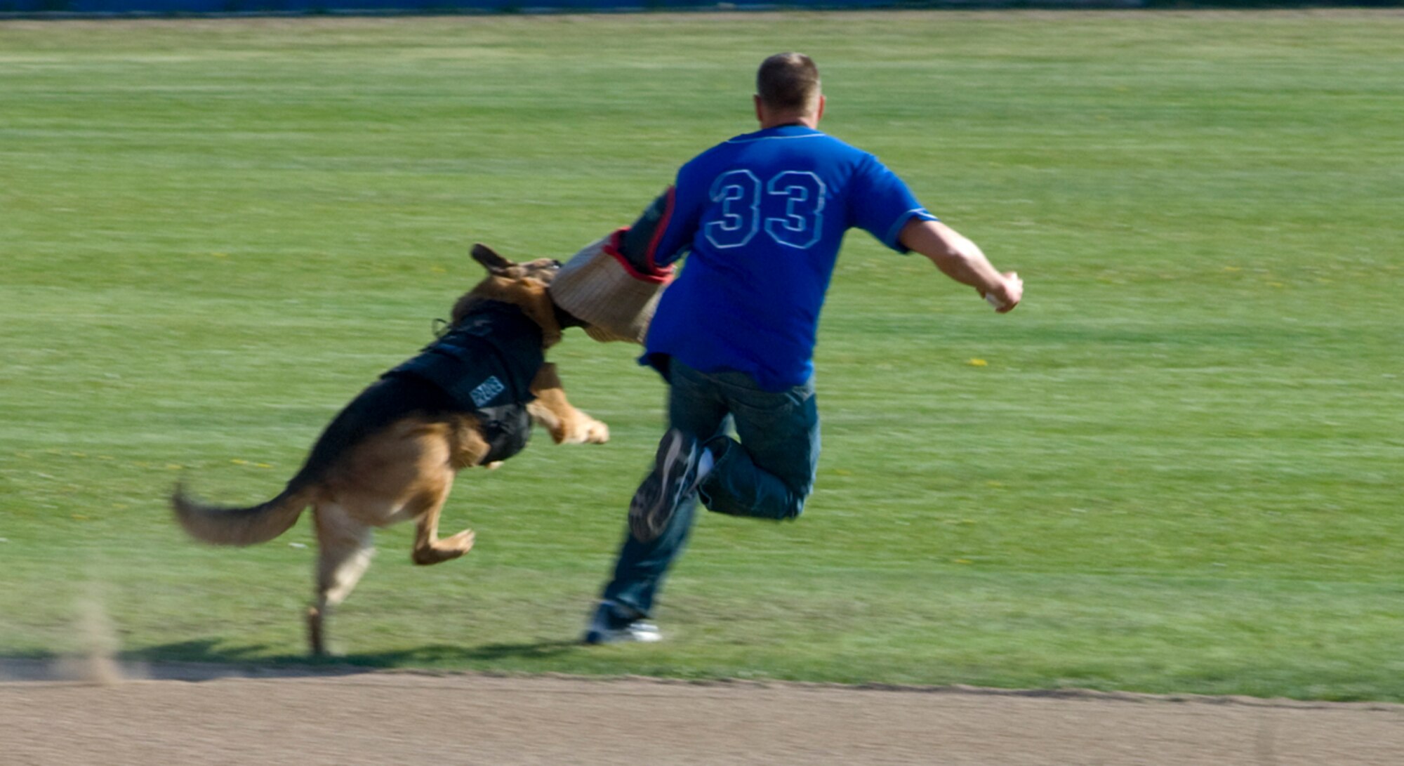 ANCHORAGE, Alaska -- Military working dog Lux subdues Army Sgt. Jordan Spurl as he tries to escape with the game ball for the military appreciation game between the Anchorage Bucs and the Elmendorf Eagles. The Bucs have had a military appreciation game for more than 10 years