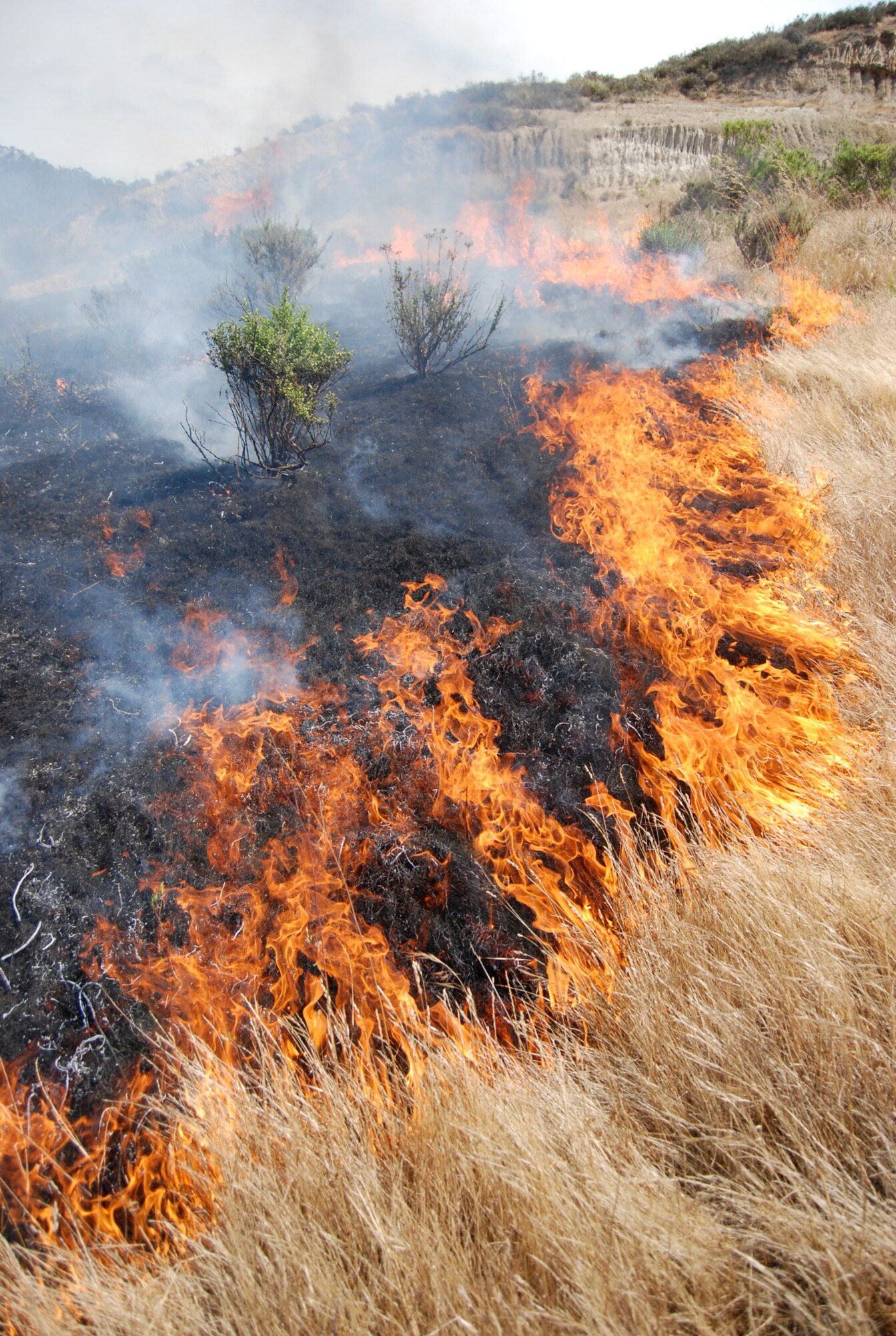 VANDENBERG AIR FORCE BASE, Calif. – Grass and brush fuel a fire at the Lompoc Penitentiary Shooting Range near Vandenberg June 11. Due to the fact that California is in the middle of its fire season, a large amount of resources responded from Vandenberg, Lompoc and Santa Barbara County to extinguish the flames. (Photo by Andrew Klein)