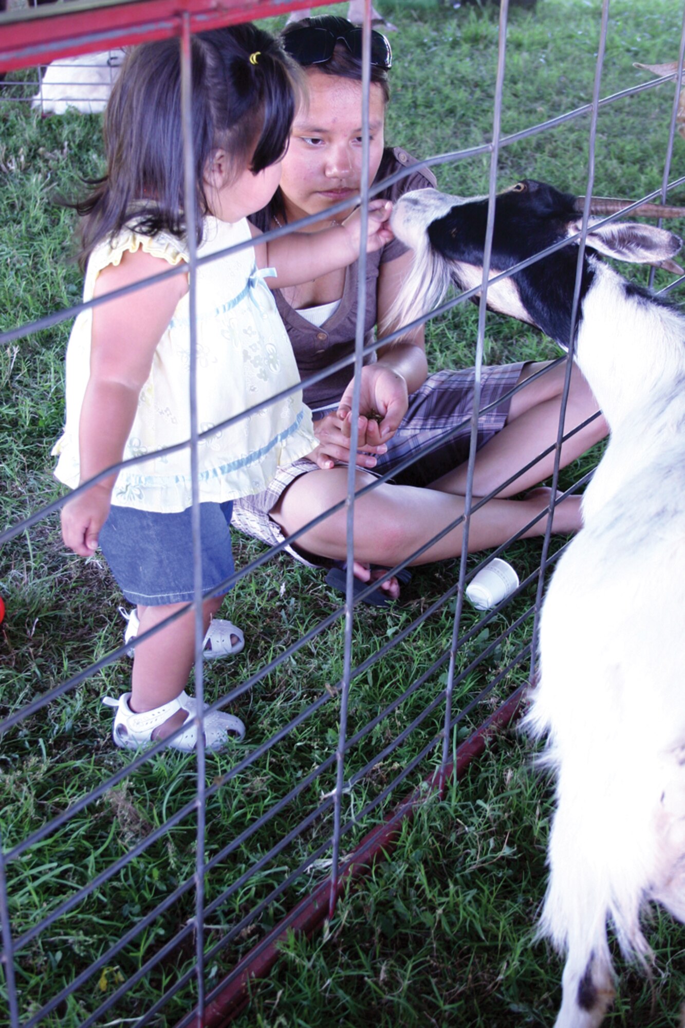 Aaliyah Arthur feeds a goat at the petting zoo during Summer Bash. The petting zoo hosted a variety of animals including goats, llamas, a rabbit and a duck.