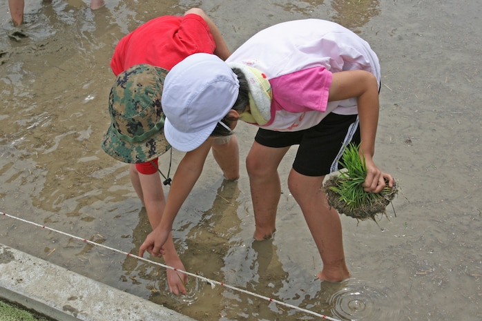 A Tenno Elementary School student shows 8-year-old Joshua Thompson where to plant the rice shoots in the mud during a Youth Cultural Program rice-planting trip June 12. “I wish I could do it for a job, but I’d rather not be mucky and dirty all day. I’d rather be clean,” said Thompson.