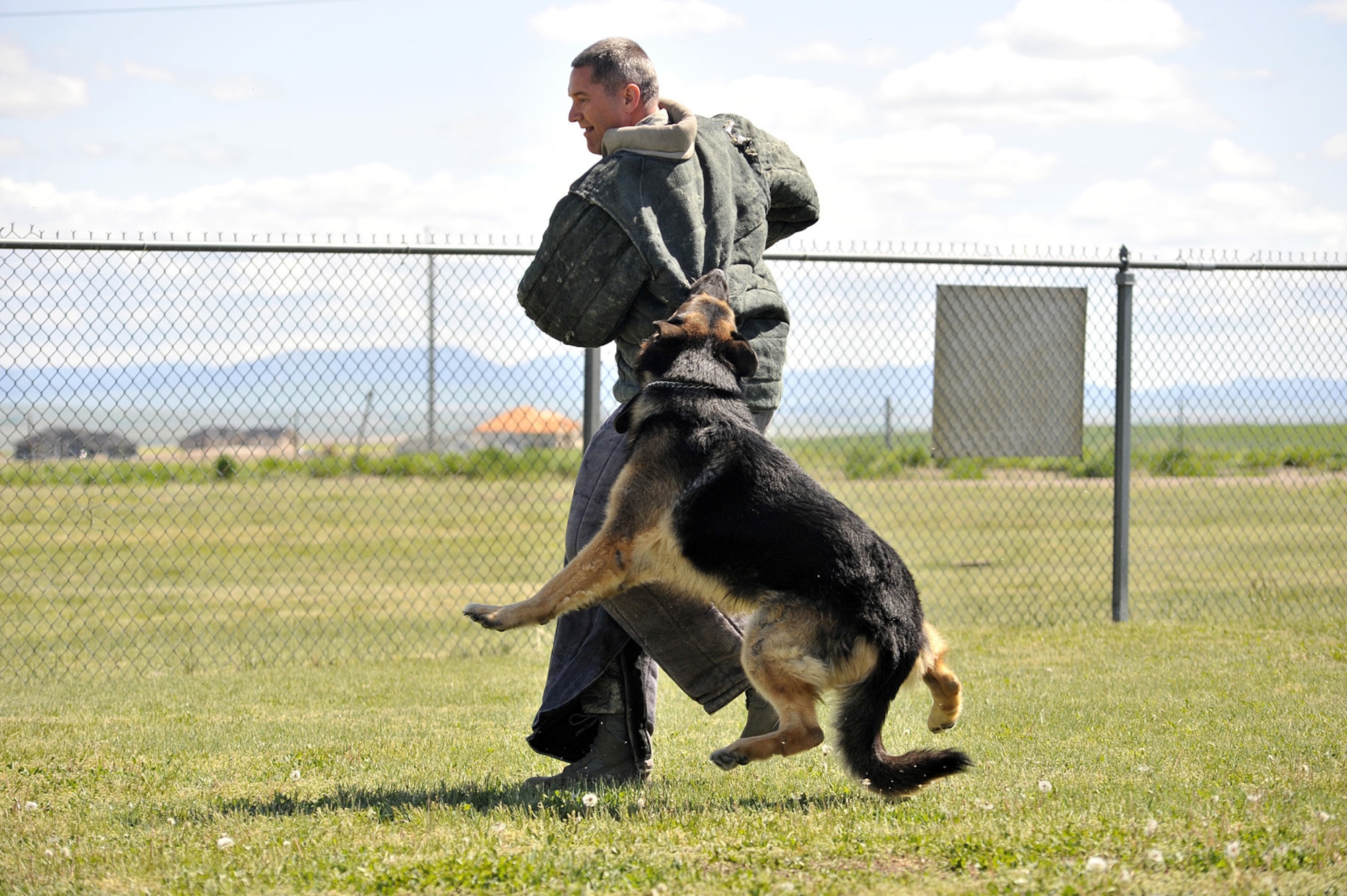 K-9 forces member Kajo, attempts to subdue Col. Paul Gydesen, 341st Missile Wing vice commander, during the colonel's monthly "out and about" session. He chose to visit the working dogs and their handlers and agreed to don the "bite suit" typically worn by a security forces member when the unit performs demonstrations for the public. (U.S. Air Force photo/John Turner)