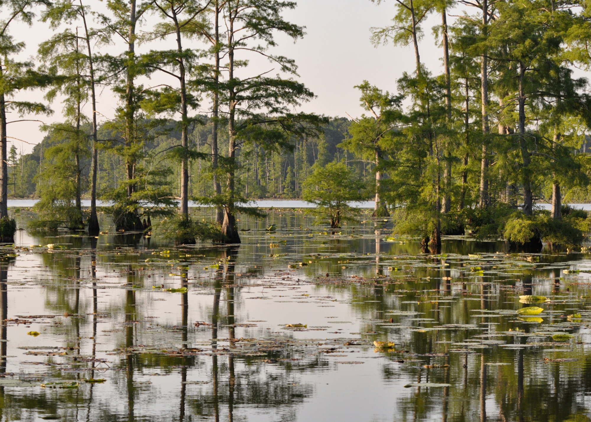 Flag Lake on the East Reservation of Barksdale Air Force Base, La., June 13, 2009. Flag Lake is one of several lakes and ponds available for fishing and camping on Barksdale’s East Reservation. Fishing on the base is limited authorized personnel and their sponsored guests. (Courtesy photo)

