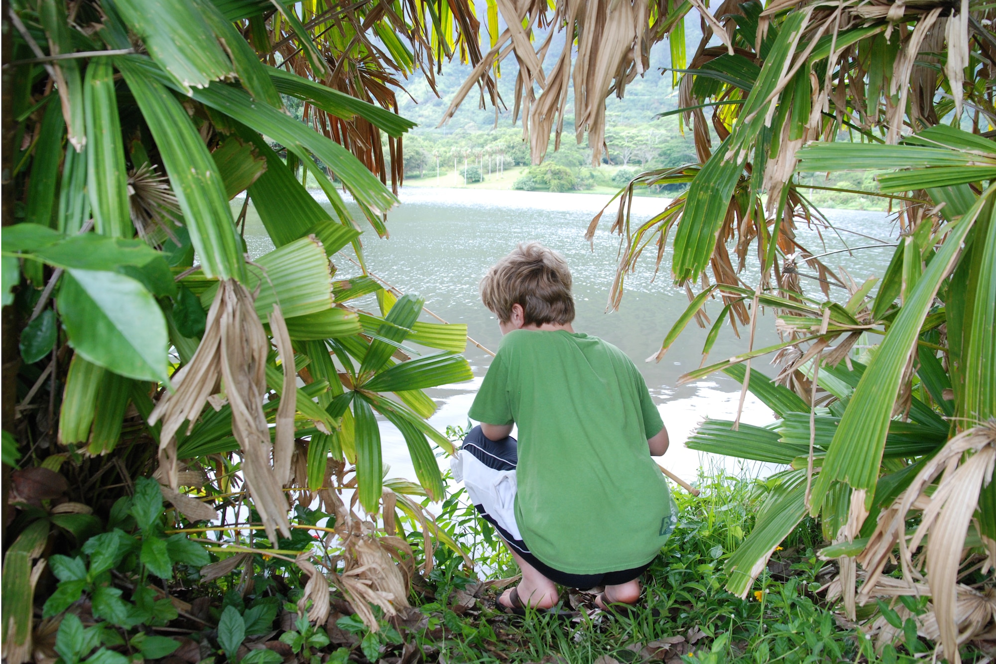 KANEOHE, Hawaii - Conrad Schmidt, 10, found a secluded hole to hide in and catch as many fish as possible during the 10th Annual Keiki Fishing Tournament June 10 at the Ho'omaluhia Botanical Gardens. More than 170 children and their families were treated to lunch and a Polynesian Culture Center demonstration before the fishing tournament began. The keiki caught a record-setting 449 fish at the tenth annual tournament. (U.S. Air Force photo/Staff Sgt. Mike Meares)  
