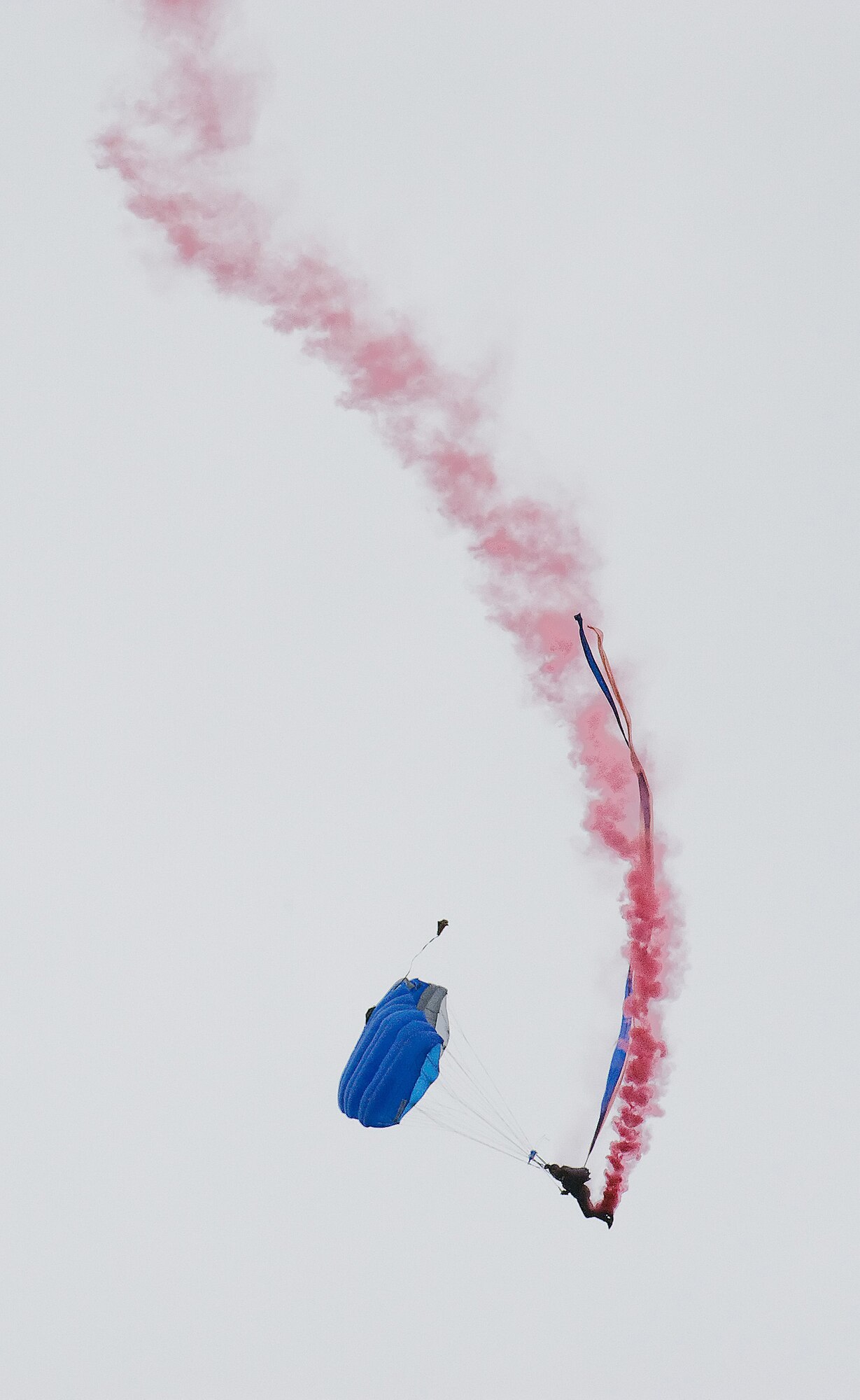 A parachutist with the U.S. Air Force Academy Wings of Blue jump team performs during the 2009 Dover Air Force Base Open House and Air Show June 21. (U.S. Air Force photo/Tom Randle)