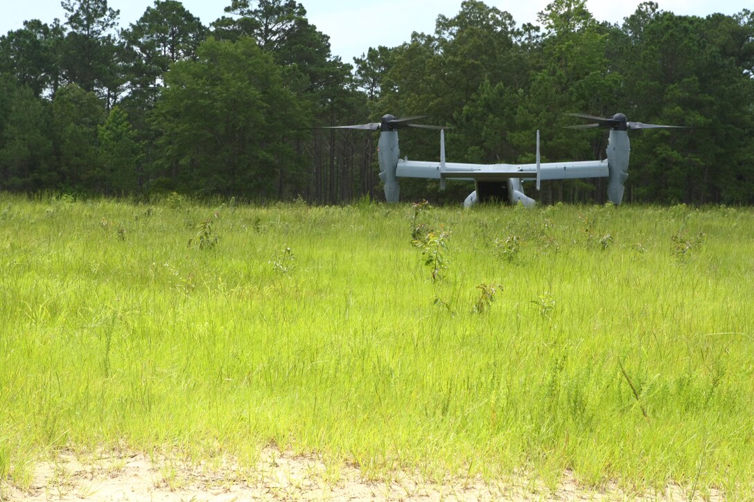 The V-22 Osprey lands as students belonging to the Career Orientation Training for Midshipmen program, prepare to board the aircraft. This is part of their training week aboard Camp Lejeune. Every summer the program brings groups of Naval Reserve Officers Training Corps students from colleges and universities all over the U.S. to Camp Lejeune to conduct Marine Week. CORTRAMID is an introduction for midshipmen to what the Marine Corps and the Navy have to offer the future officers. During the week they are aboard Lejeune, they participate in a variety of training activities from patrolling, live-fire exercises, flying in a military aircraft and learning about an array of military weapons systems.