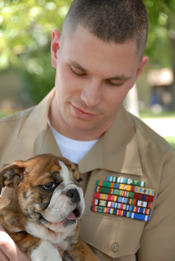 Staff Sgt. Steven Irvin, program specialist, Recruiting Station San Antonio, inspects the 12-week-old Castroville, Texas, native English Bulldog during a media day held to introduce the new mascot June 24.