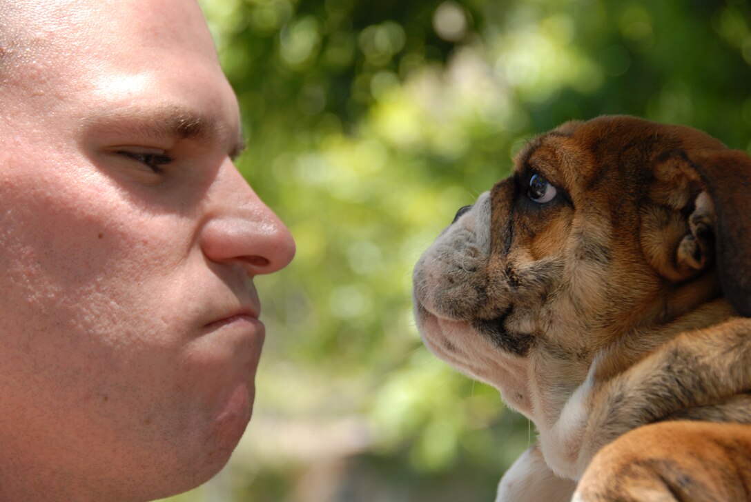 Staff Sgt. Steven Irvin, program specialist, Recruiting Station San Antonio, playfully snarls at the 12-week old English Bulldog selected to be the next Marine Corps Recruit Depot San Diego Mascot June 24.