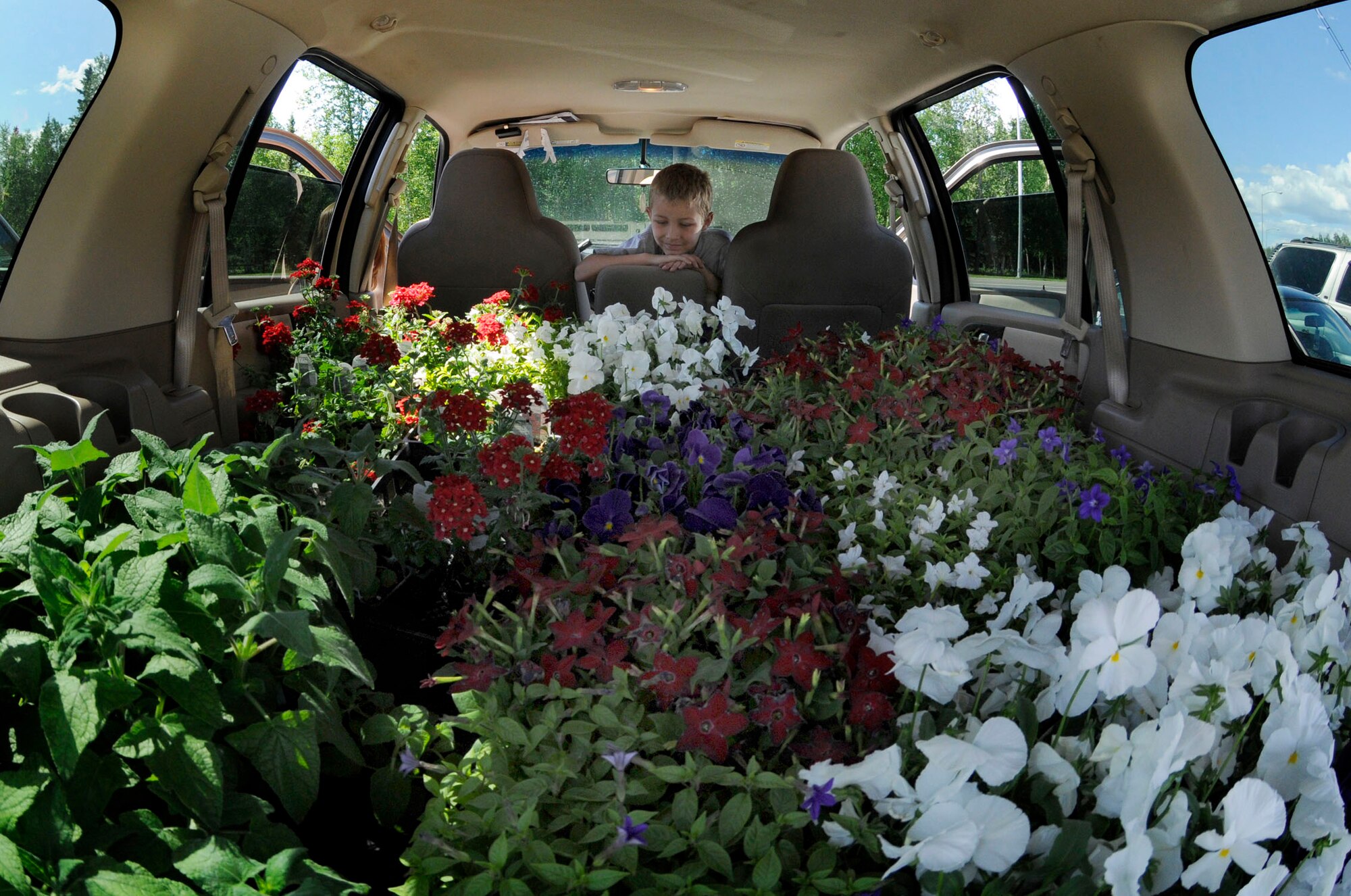 Logan Giannelli peers at all the flowers June 17, 2009, Eielson Air Force Base, Alaska. The Enlisted Spouses Club is planting flowers as part of a project to beautify Heritage Park. Logan is the son of Sheila Gianneli, Vice President of the club. (U.S. Air Force photo/Airman 1st Class Laura Max) 
