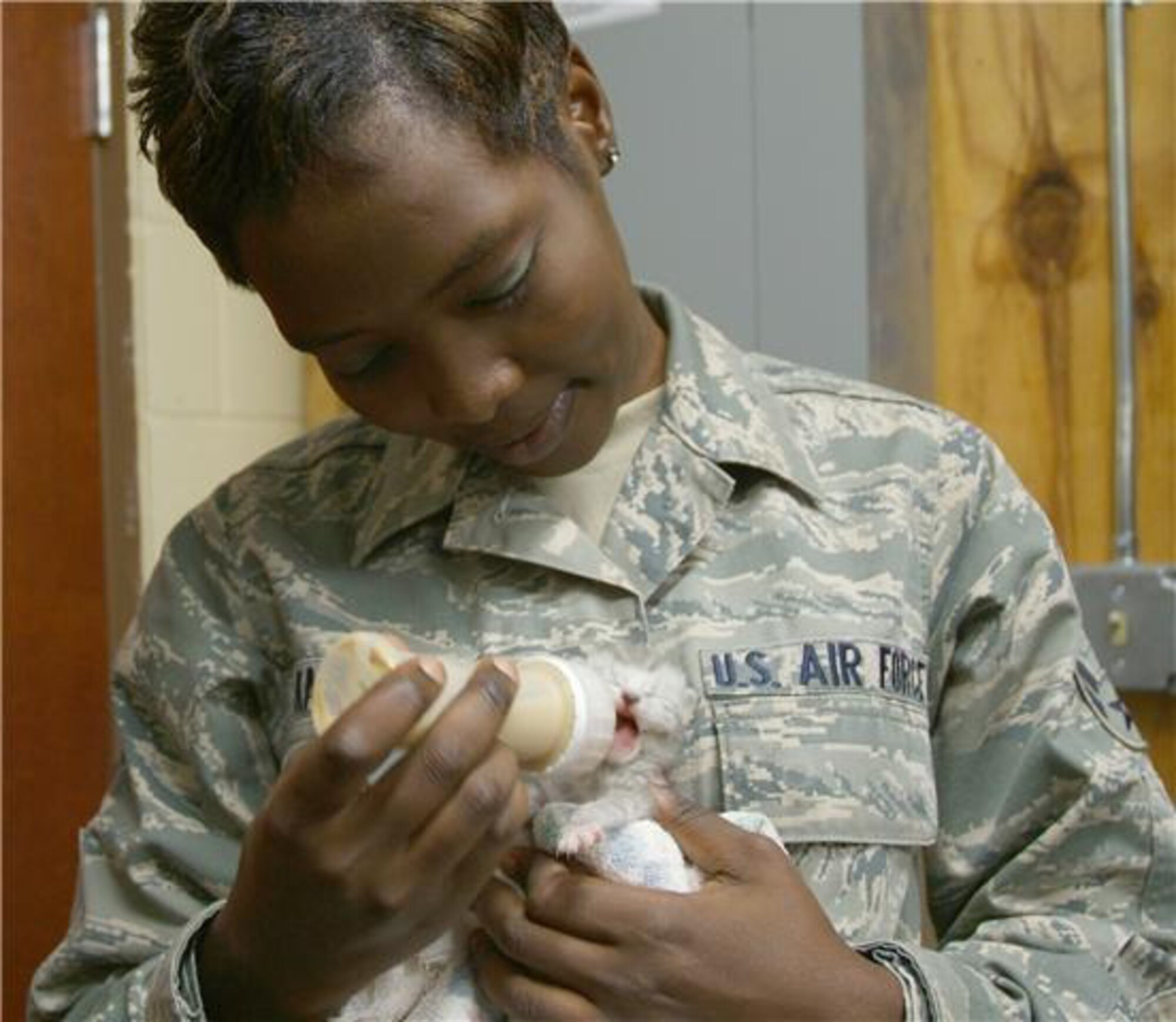 HURLBURT FIELD, Fla. -- Airman 1st Class Nadia Katana bottle-feeds a kitten that was rescued June 22 from inside a wall in Bldg. 90005. Members of the 505th Command and Control Wing cared for the litter of four, taking turns feeding the little visitors until they were turned over June 23 to a wildlife refuge until they can be adopted. (Keith Keel/U.S. Air Force)