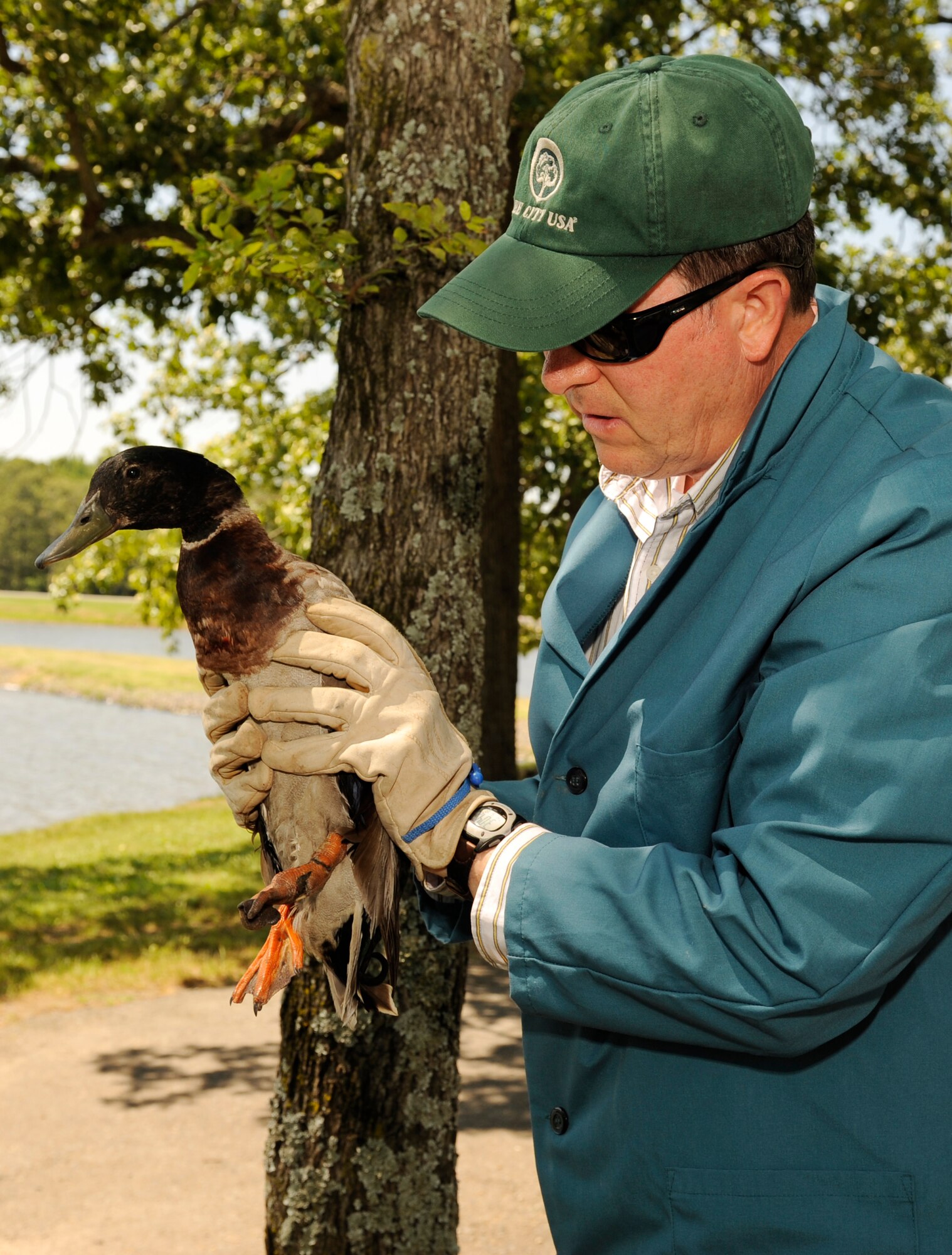 Mr. James Popham, 19th Airlift Wing natural resources manager, assists a wounded duck at the large base lake June 18. The duck was taken to a veterinarian for medical analysis. (U.S. Air Force photo by Airman Lausanne Pacheco)