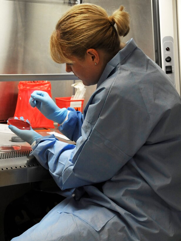 Tech. Sgt. Melanie Curtis, a laboratory technician with the 434th Aerospace Medical Squadron, Grissom Air Reserve Base, Ind., prepares a “Strep A” culture at the medical clinic laboratory, Lajes Field, Azores, on June 18. Tech. Sgt. Curtis was one of 12 Air Force medical reservists that completed their annual two week tour at Lajes Field. (U.S. Air Force photo by Staff Sgt. Darrell I. Dean)