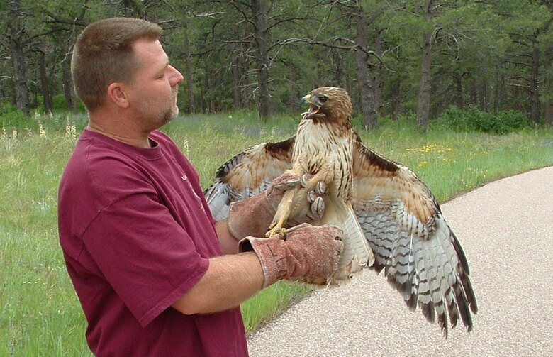 Phil Carberry, vice president of the Ellicott Wildlife Rehabilitation Center, prepares to return a red-tailed hawk to the skies and its home near Air Academy High School in Colorado Springs, Colo. The raptor spent two weeks in rehabilitation after a collission with one of the school's windows. (U.S. Air Force photo/Brian Mihlbachler)