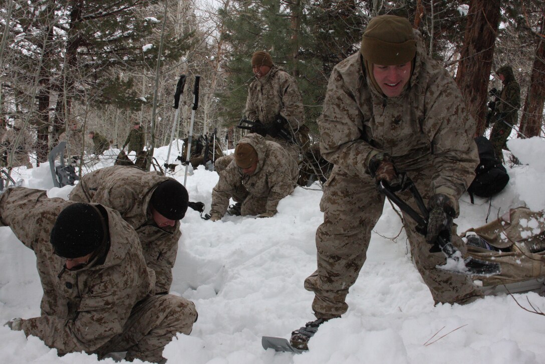 Marines and sailors of Regimental Combat Team 7 out of the Combat Center shovel snow to make their bivouac, or camping area, during the practical application portion of their Mountain Warrior Exercise in training area Aspen Bowl at Marine Corps Mountain Warfare Training Center Bridgeport, Calif., March 2.