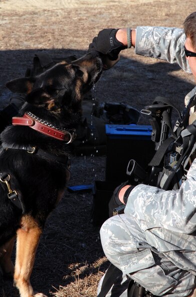 Senior Airman Jeremy Rice and military working dog Banto, both from Eglin Air Force Base, Fla., take a break while training in military operations in urban terrain for the Air Force Phoenix Warrior Training Course on Feb. 23, 2009, on a range on Naval Air Engineering Station Lakehurst, N.J.  Phoenix Warrior is taught by the U.S. Air Force Expeditionary Center's 421st Combat Training Squadron and prepares security forces Airmen for upcoming deployments. (U.S. Air Force Photo/Staff Sgt. Paul R. Evans)