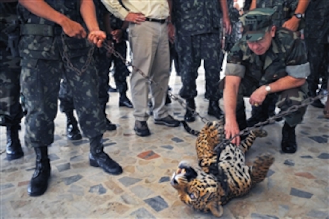 U.S. Navy Adm. Mike Mullen, chairman of the Joint Chiefs of Staff, pets the belly of a jaguar during a visit to Manaus, Brazil, March 2, 2009. The chairman visited Brazil to meet with the defense minister and see Brazilian operations in the Amazon region.