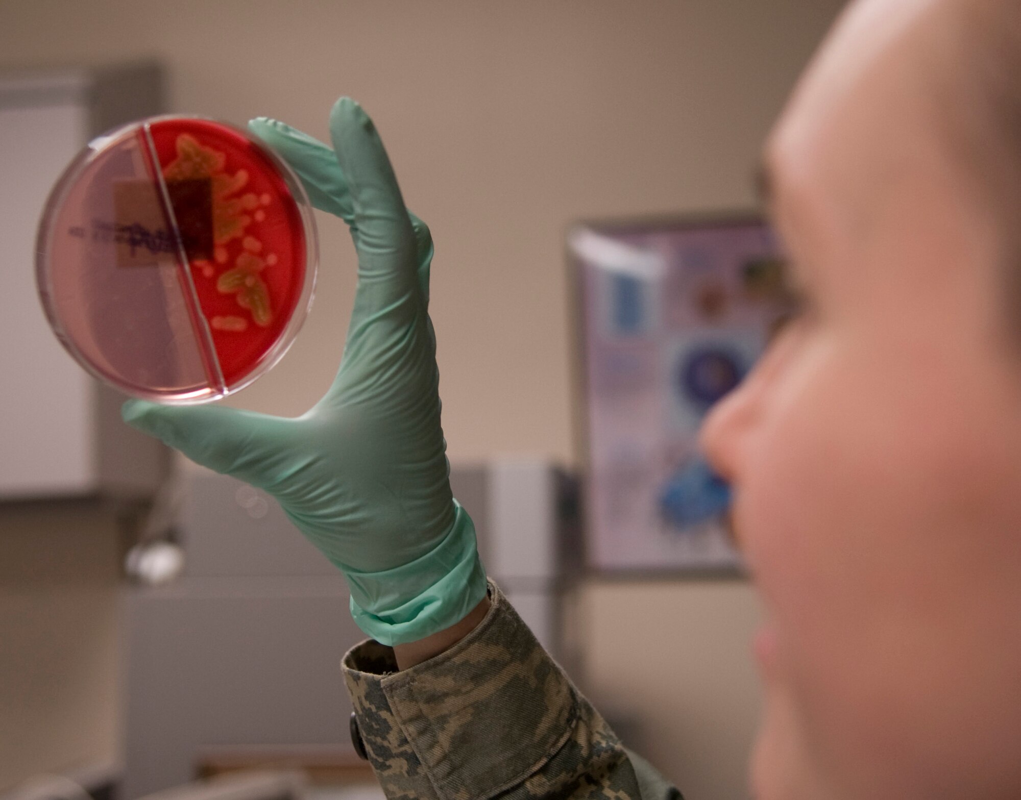 Staff Sgt. Karla Workman, 354th Medical Group clinical lab technician, views a urine culture for bacterial growth March 4, 2009, Eielson Air Force Base, Alaska. Cultures are reviewed routinely to check for signs of bacterial growth. (U.S. Air Force photo/Airman 1st Class Laura Max)