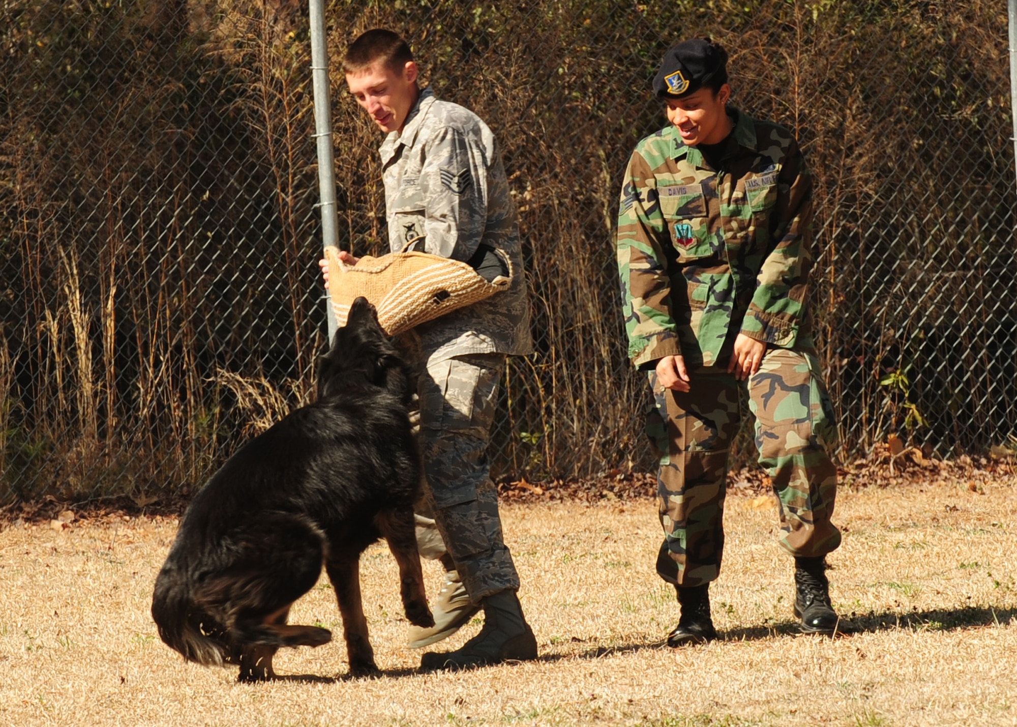 Senior Airman Ava Davis, her canine Frisco and Staff Sergeant Andrew Rounds, 4th Security Forces Squadron Canine Unit, demonstrate the six phases of aggression at Seymour Johnson Air Force Base, N.C. March 4, 2009. Airman Davis and Frisco participated in the 916th Air Refueling Wing’s nuclear operational readiness inspection where the pair was recognized as outstanding performers by the Air Mobility Command Inspector General. (U.S. Air Force Photo by Airman 1st Class Rae A. Perry)