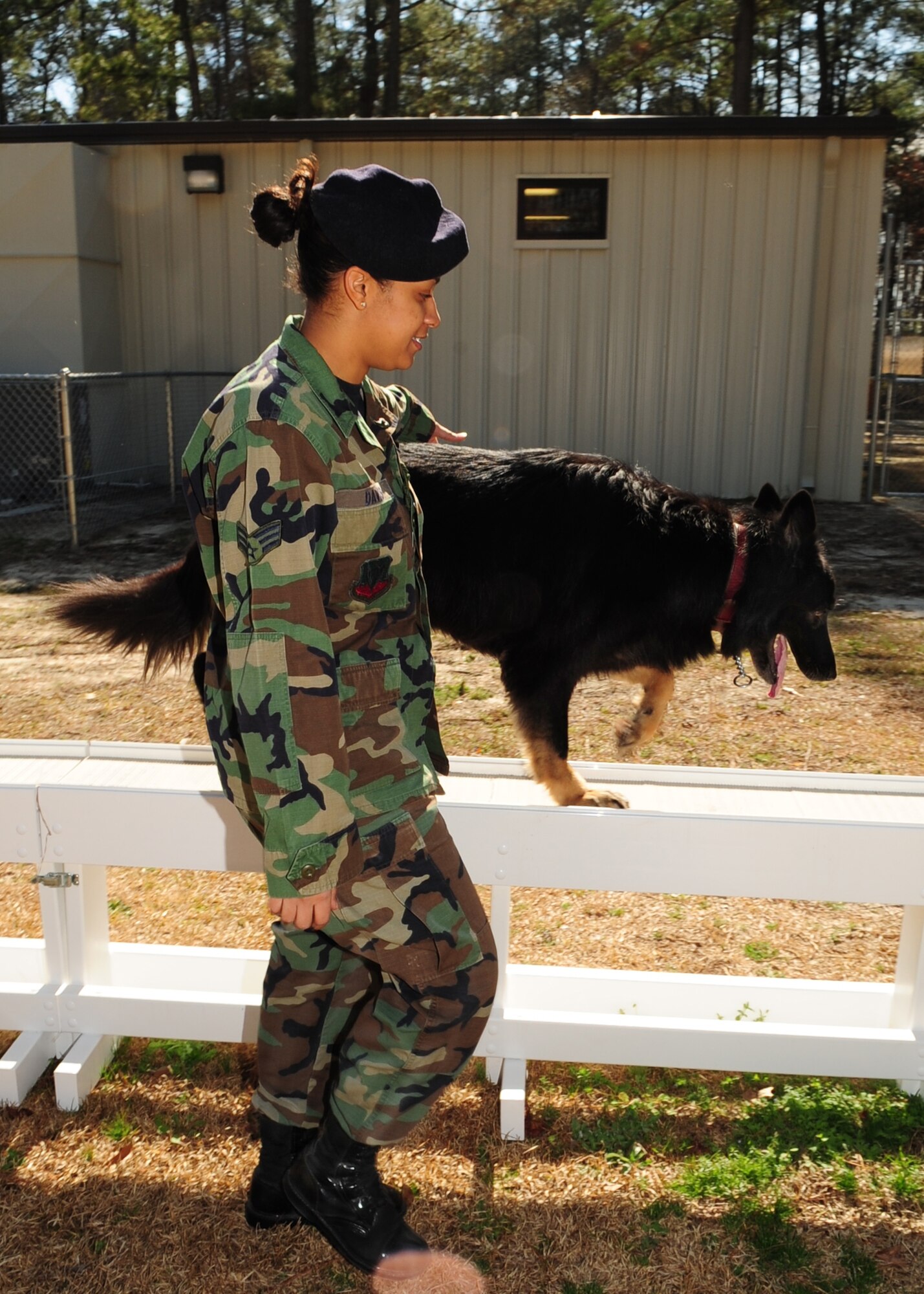Senior Airman Ava Davis, 4th Security Forces Squadron, and her military working dog, Frisco, demonstrate his agility Seymour Johnson Air Force Base, N.C., March 4, 2009. Airman Davis and Frisco were recently recognized by the Air Mobility Command Inspector General as outstanding performers during the 916th Air Refueling Wing’s Nuclear Operational Readiness Inspection. (U.S. Air Force Photo by Airman 1st Class Rae A. Perry)