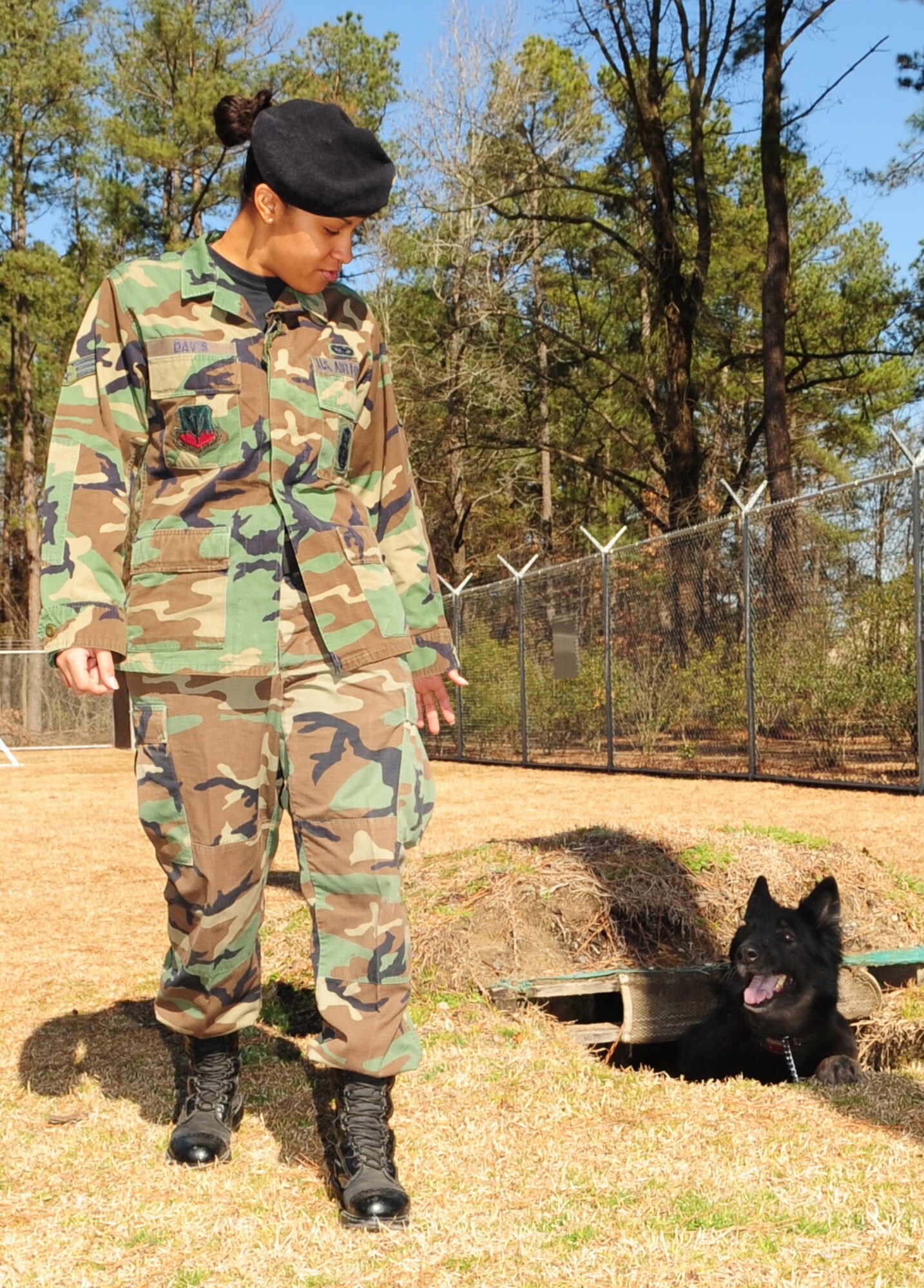 Senior Airman Ava Davis, 4th Security Forces Squadron, and her military working dog, Frisco, demonstrate his agility Seymour Johnson Air Force Base, N.C., March 4, 2009. Airman Davis and Frisco were recently recognized by the Air Mobility Command Inspector General as outstanding performers during the 916th Air Refueling Wing’s Nuclear Operational Readiness Inspection. (U.S. Air Force Photo by Airman 1st Class Rae A. Perry)