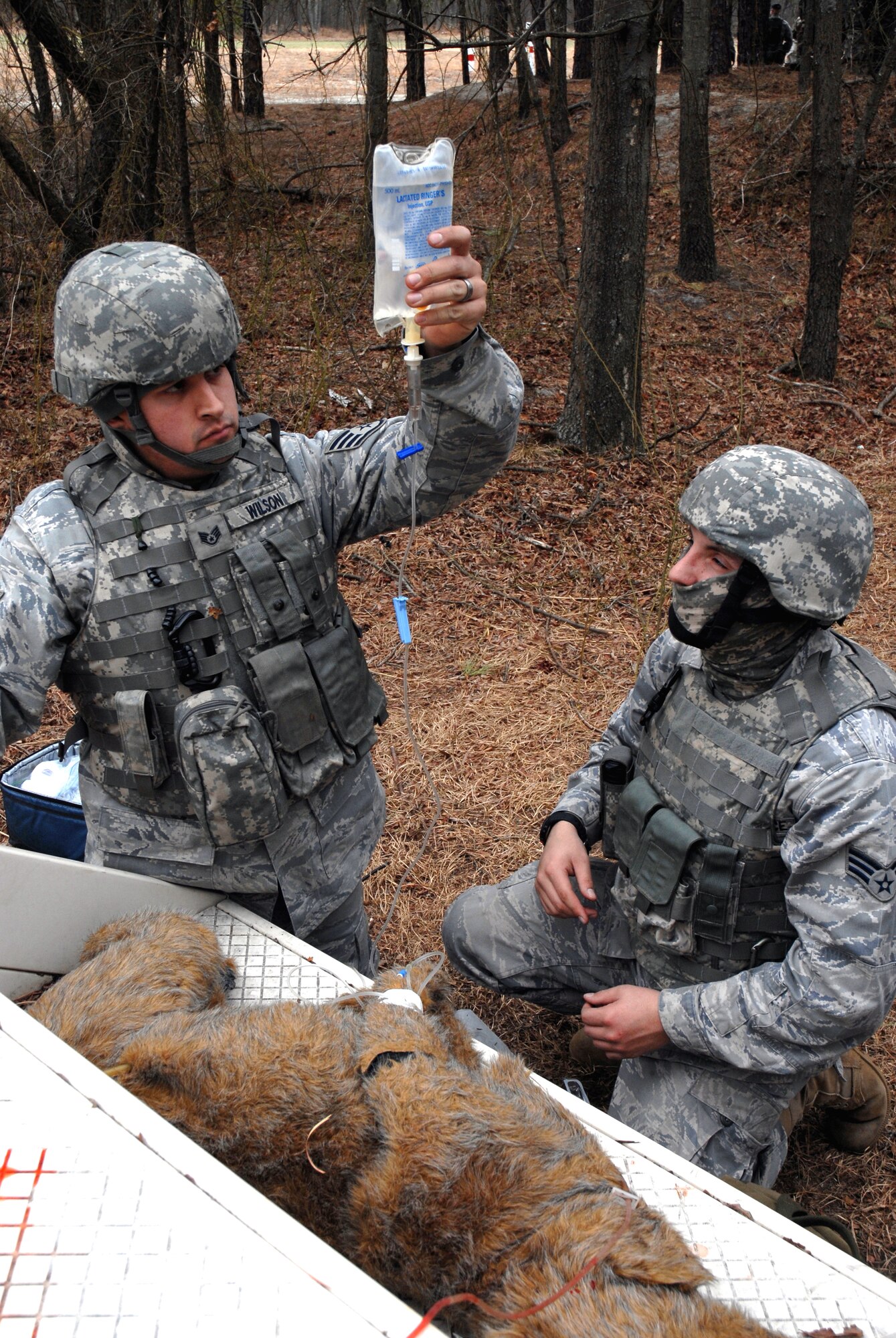 Military working dog handlers who are students in the Air Force Phoenix Warrior Training Course practice combat first aid for canines on a realistic but fake dog on Feb. 28, 2009, at Fort Dix, N.J.  Phoenix Warrior is taught by the U.S. Air Force Expeditionary Center's 421st Combat Training Squadron at Fort Dix and prepares security forces Airmen for upcoming deployments.  (U.S. Air Force Photo/Staff Sgt. Paul R. Evans)