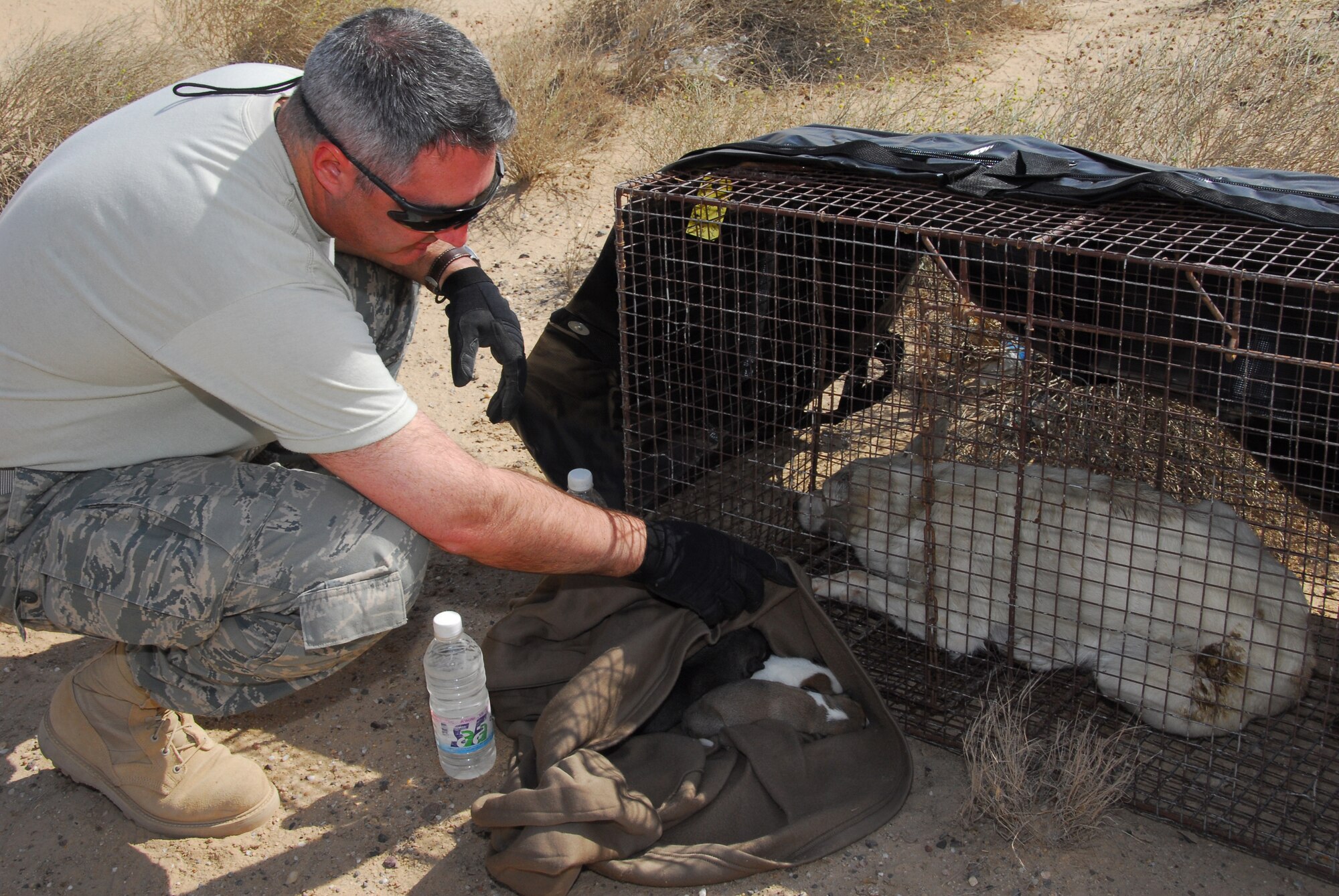 SOUTHWEST ASIA -- Master Sgt. Michael Barros, 386th Expeditionary Civil Engineer Squadron entomologist, checks on the puppies that were recovered from a fox hole on a flight line at an air base in Southwest Asia, March 3. The dogs were removed because leaving them on the flight line can cause an issue with aircraft safety out on the runways. Sergeant Barros is deployed from 110th Fighter Wing, Michigan Air National Guard, Battle Creek, Mich. and is originally from Haslett, Mich. (U.S. Air Force photo/ Senior Airman Courtney Richardson)