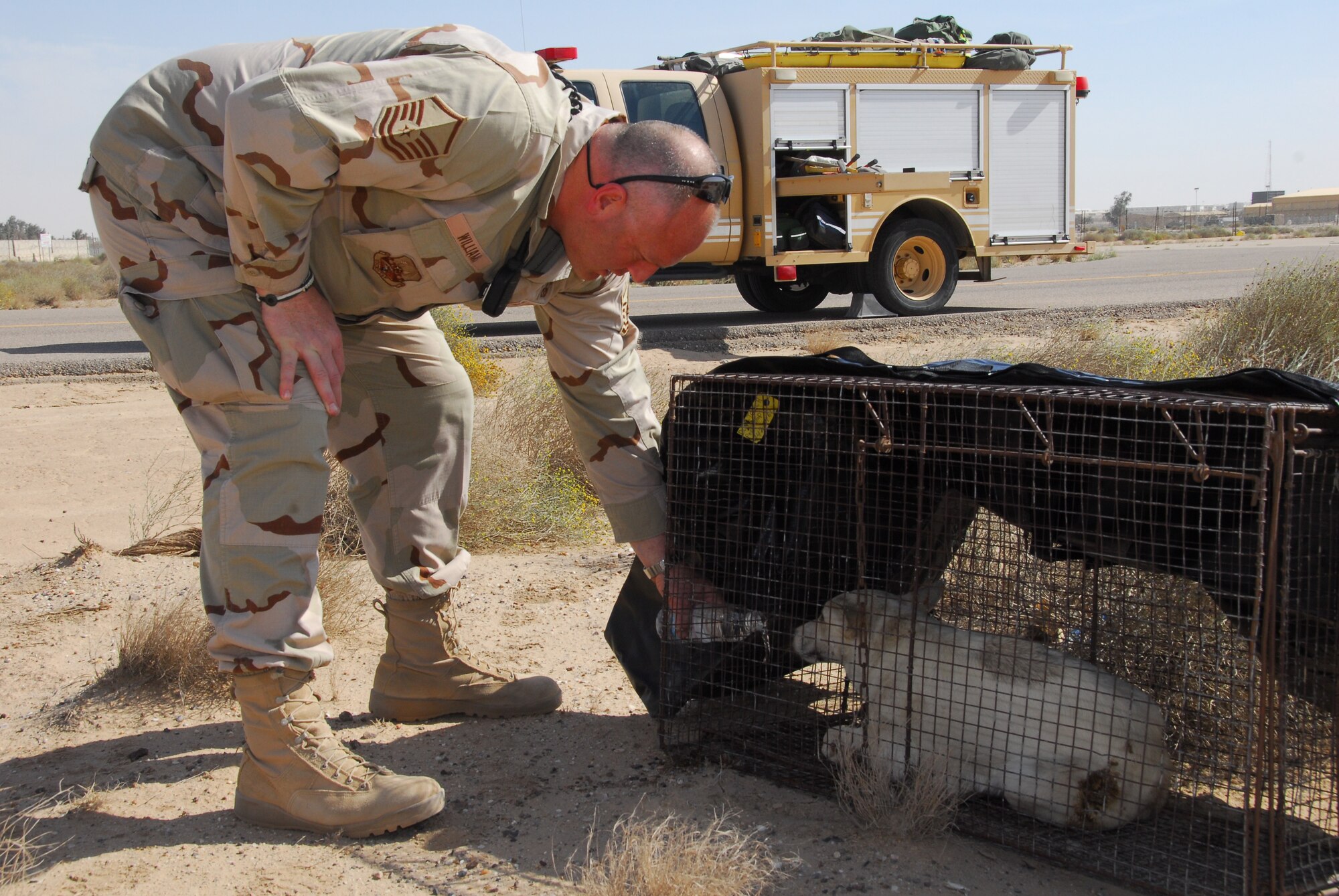 SOUTHWEST ASIA -- Master Sgt. Daniel Williams, 386th Expeditionary Civil Engineer Squadron, gives a dog some water while her puppies are being retrieved from a fox hole on the flight line at an air base in Southwest Asia, March 3. The dogs and her puppies were found during routine Foreign Object Debris walk on the flight line. Sergeant Williams is deployed from the 185th Air Refueling Wing, a guard unit, in Sioux City, Iowa, and is originally from Beresford, S.D. (U.S. Air Force photo/ Senior Airman Courtney Richardson)