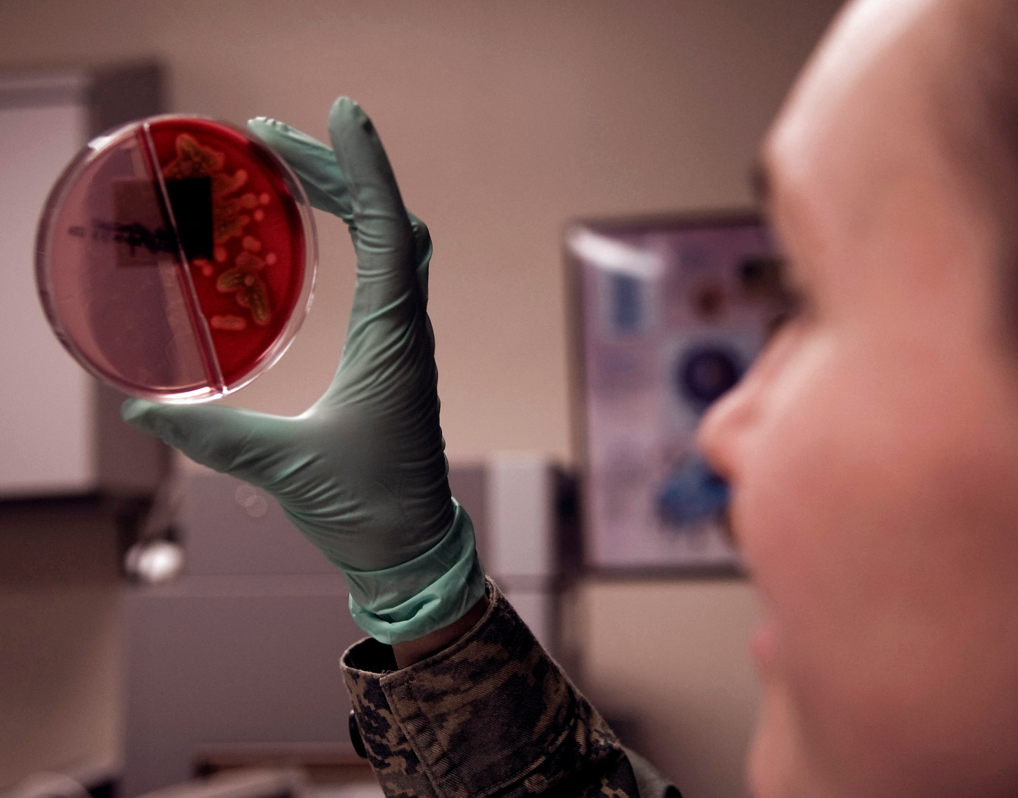 Staff Sgt. Karla Workman views a urine culture March for bacterial growth March 4 at Eielson Air Force Base, Alaska. Cultures are reviewed routinely in the medical laboratory for signs of disease of bacterial growth. Sergeant Workman is a 354th Medical Group clinical lab technician. (U.S. Air Force photo/Airman 1st Class Laura Max) 

