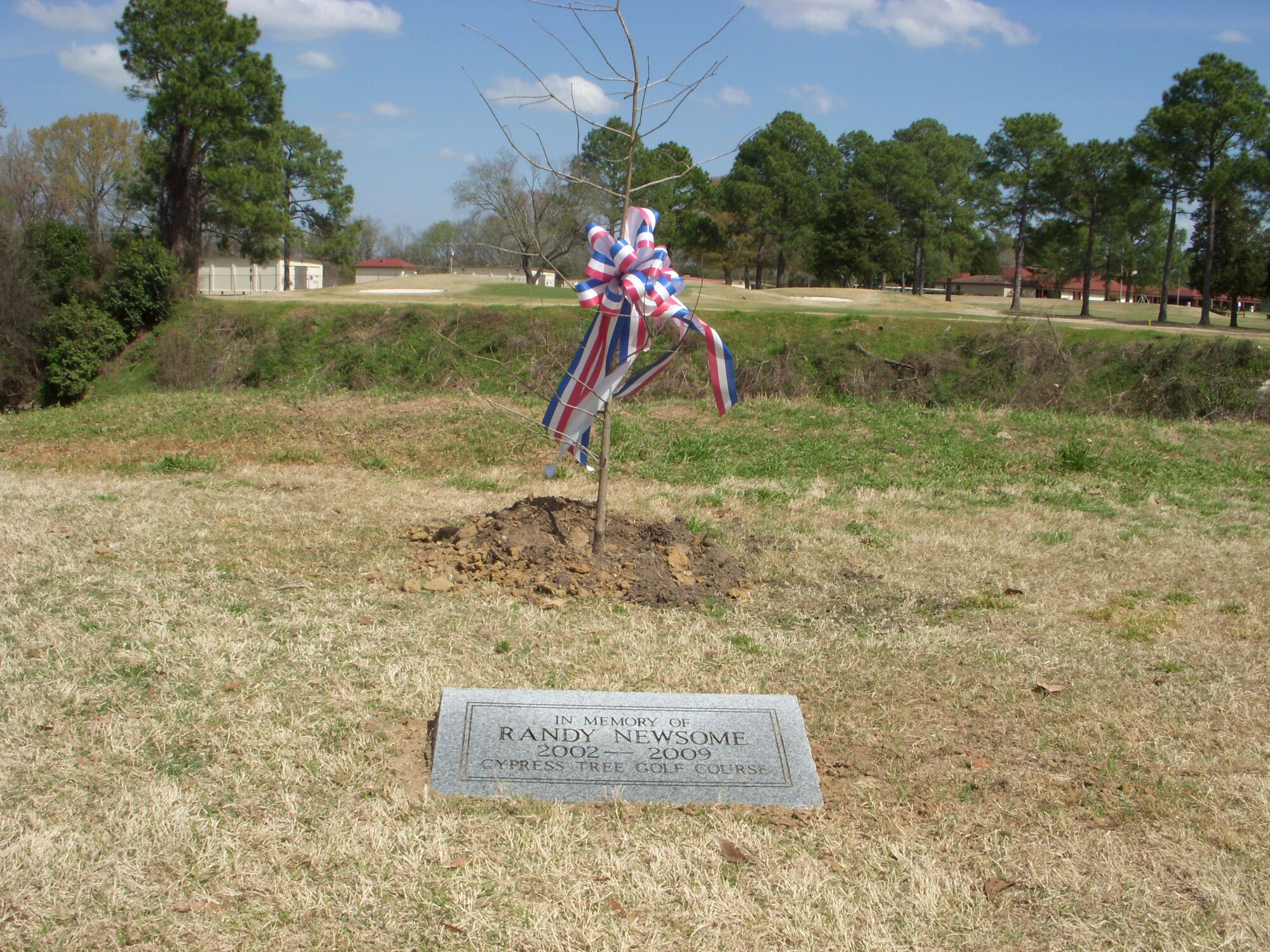 A tree sits near the 18th hole at Maxwell Air Force Base's Cypress Tree Golf Course. Co-workers planted the tree March 5 in memory of Randall C. Newsome, manager of the course, who died Feb. 24. (Air Force photo by Carl Poteat)