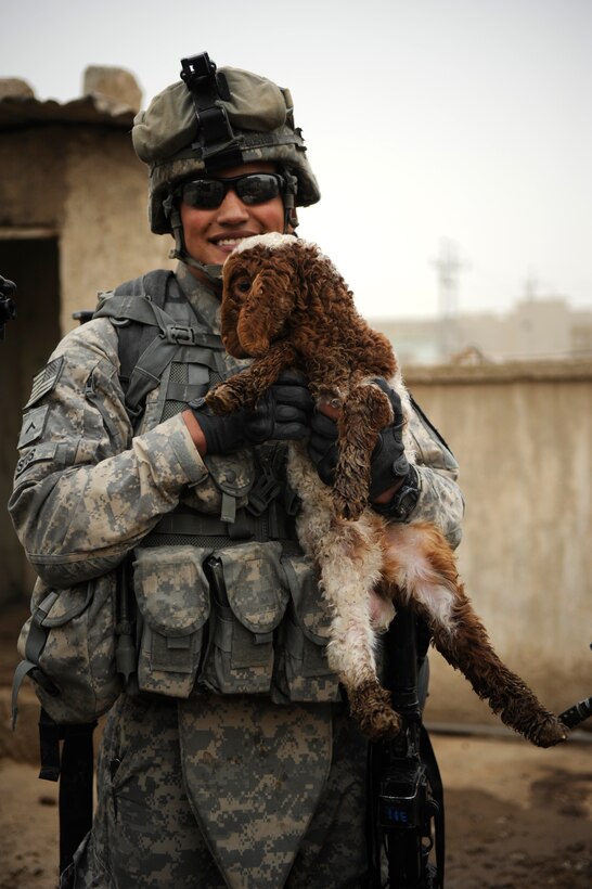 U.S. Army Pvt. Jacob Bustos, from the 8th Regiment, 1st Cavalry Division, holds up a lamb while searching a house March 1, 2009, during a clearing and census operation in the Zinjali neighborhood of Mosul, Iraq. The family's home they were searching kept a a herd of sheep on the roof.