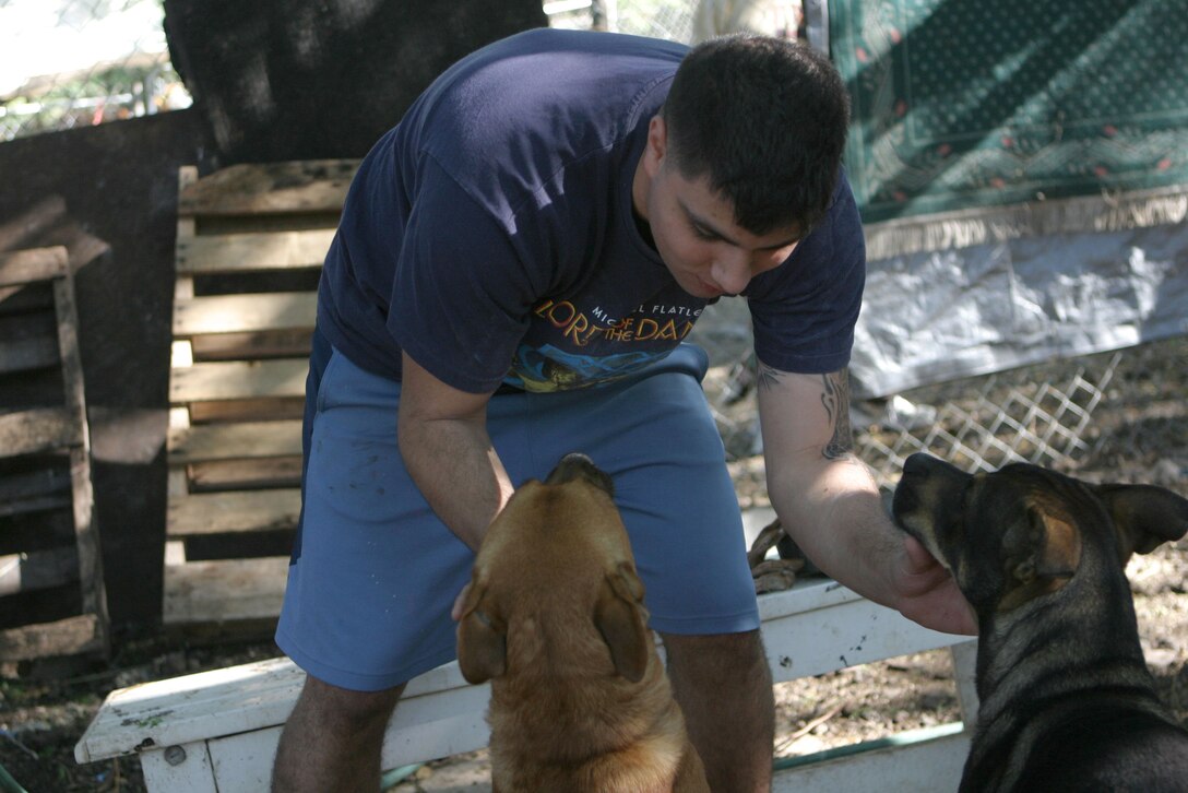 Cpl. Joshua Abuzaid plays with dogs at the Friends for Life animal rescue shelter here March 13.