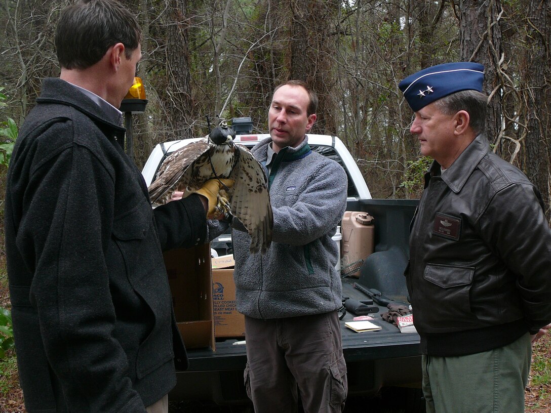 LANGLEY AIR FORCE BASE, Va. -- Tom Olexa and Jared Kwitowski, USDA, show Maj. Gen. Fredrick F. Roggero, Air Force Chief of Safety, an American Kestrel that was caught and removed from the airfield March 11.  The USDA personnel were explaining to General Roggero the different species of birds that inhabit the airfield environment here at Langley.

