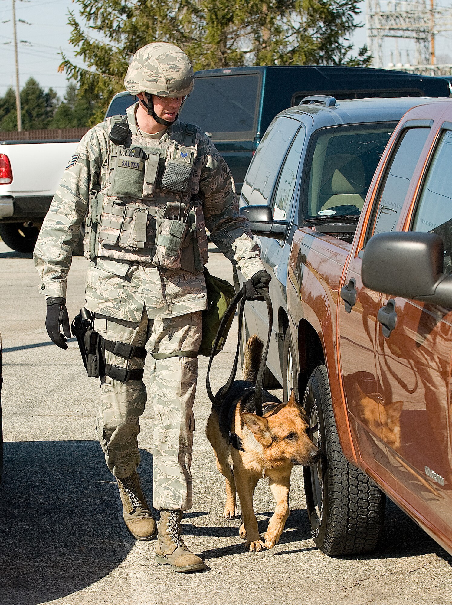 Staff Sgt. Matthew Salter, 436th Security Forces Squadron military working dog handler, and Rico, explosive detection military working dog, searches near vehicles for explosives during the Major Accident Response Exercise March 12. (U.S. Air Force photo/Jason Minto)