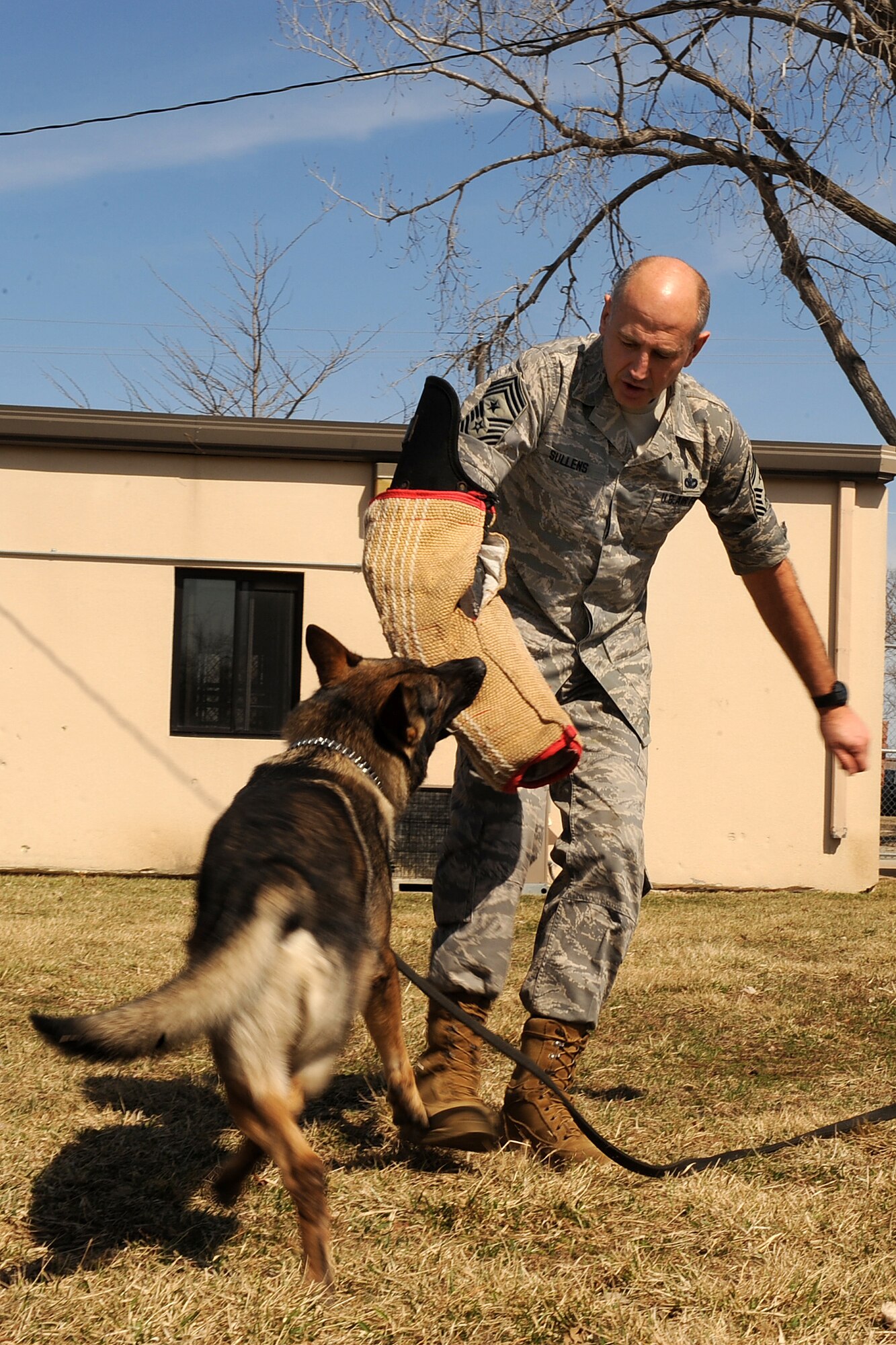 OFFUTT AIR FORCE BASE, Neb. -- ACC Command Chief Master Sgt. Stephen C. Sullens takes a tour of the military working dog kennel and has an up close encounter with Vihar a 55th Security Forces Squadron K-9, Mar 19. As part of a two day visit to the base the Chief toured various facilities to get better acquainted with both the mission and Airmen of the "Fighting Fifty-FIfth."
U.S. Air Force Photo by Josh Plueger
