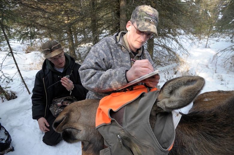 Good moose hunting Base, state officials track wildlife populations