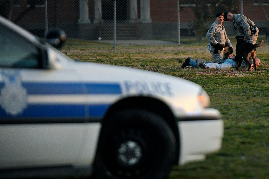 LANGLEY AIR FORCE BASE, Va. -- Airmen of the 1st Security Forces Squadron train on apprehensive procedures for a fleeing suspect with military working dogs to educate Mrs. Bianca Martinez, WTKR Channel 3 broadcaster, on their capability here March 23.  Mrs. Martinez, started a series entitled "Do My Military Job," which allows her to learn about various jobs within each branch of the military.  (U.S. Air Force photo/Senior Airman Vernon Young)