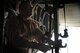 Maj. David Rodberg, 332nd Expeditionary Operations Support Squadron Expeditionary Aeromedical Evacuation Flight nurse, configures the inside of a 777th Expeditionary Airlift Squadron C-130 Hercules to accommodate litters of wounded servicemembers Feb. 27, 2009, at Joint Base Balad, Iraq. (U.S. Air Force photo/Senior Airman Elizabeth Rissmiller)