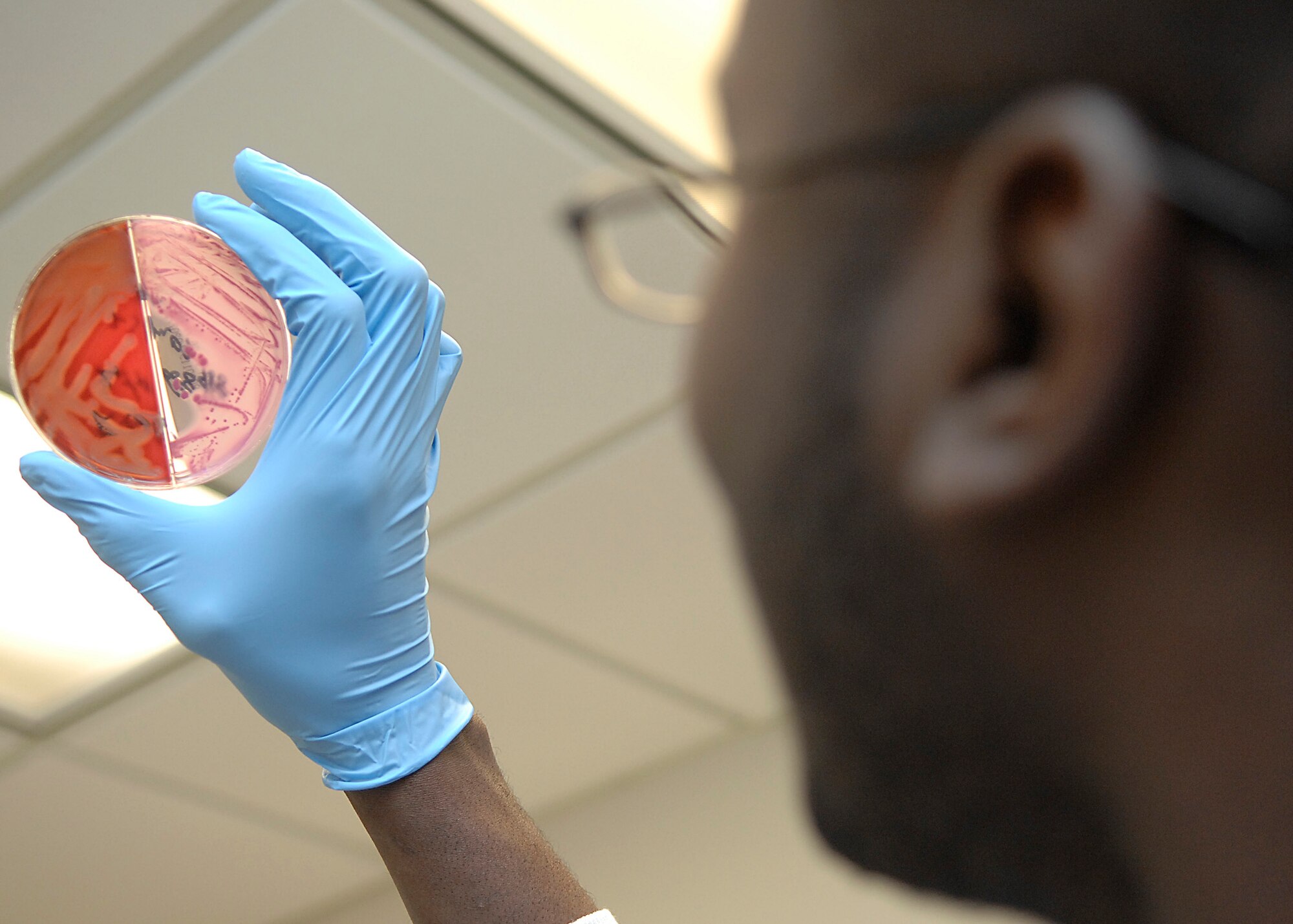 Senior Airman Alex Hastings looks for hemolysis to determine what kind of bacteria is in the blood at the clinical laboratory on Charleston AFB, March 23. The lab receives more than 500 blood and urine samples weekly. Airman Hastings is a laboratory technician with the 437th Medical Group. (U.S. Air Force photo/Senior Airman Katie Gieratz)