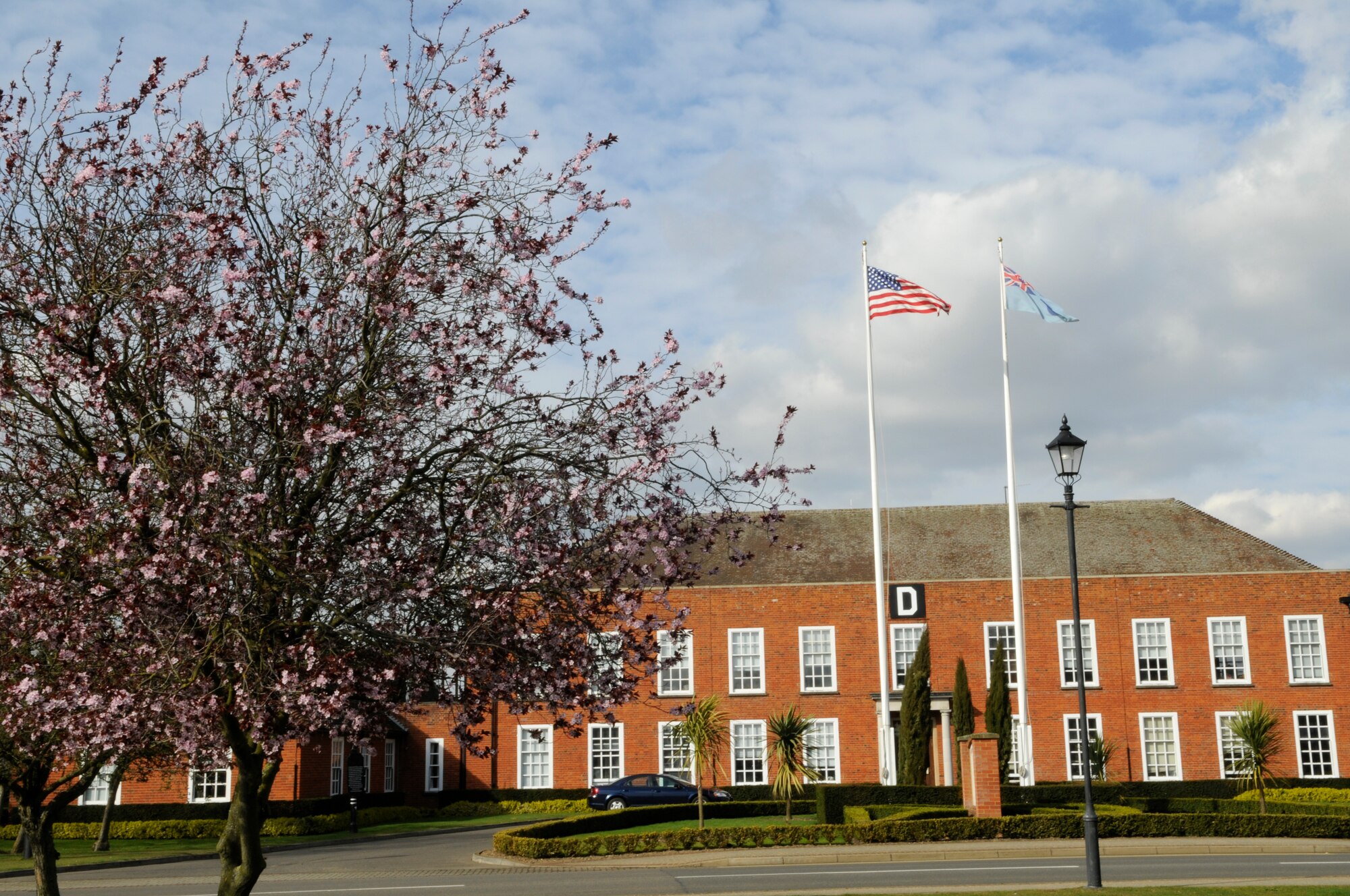 Early blooming trees show the first signs of spring on RAF Mildenhall, March 24, 2009.  Everyone is reminded that time in the United Kingdom will spring forward one hour at 1 a.m., Sunday, March 29. (U.S. Air Force Photo by SrA Christopher L. Ingersoll