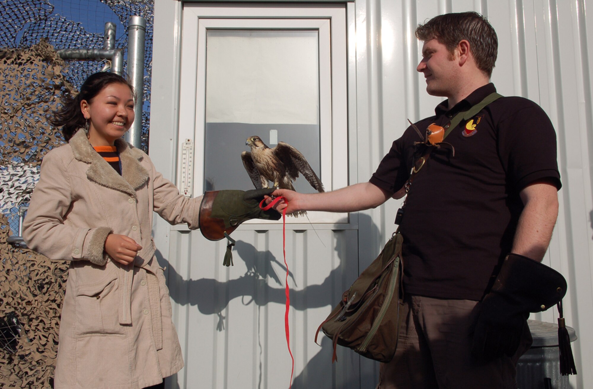 Aiperi Otunchieva, experiences holding a falcon, named Mustang, while the bird?s keeper Alan Marenghi assists. Ms. Otunchieva, a 19-year-old sophomore at the American University of Central Asia, visited Manas with 12 other students and faculty for an orientation tour and dinner hosted by the 376th Air Expeditionary Wing Public Affairs office. The visit provided the students a look at the missions carried out daily in support of operations in Afghanistan, while building friendships with coalition personnel deployed here. Mr. Marenghi is a contractor from the United Kingdom who maintains Mustang who is an important member of the 376th Air Expeditionary Wing because its job is to keep the flightline clear of birds that could potentially damage the aircraft on the base. (U.S. Air Force/Tech. Sgt. Phyllis Hanson)