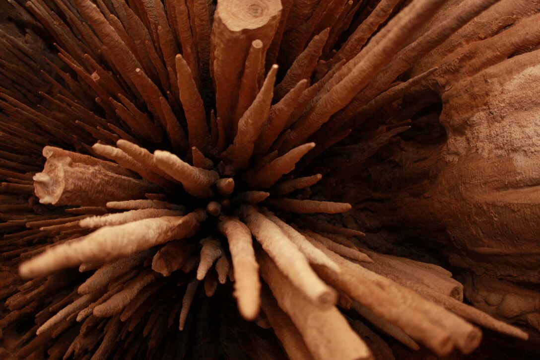 Mitchell’s Cavern is located in the Mojave National Reserve, and has been a tourist attraction since right before the Great Depression. The cave’s natural beauty remains today and is accessible for a $5 fee.