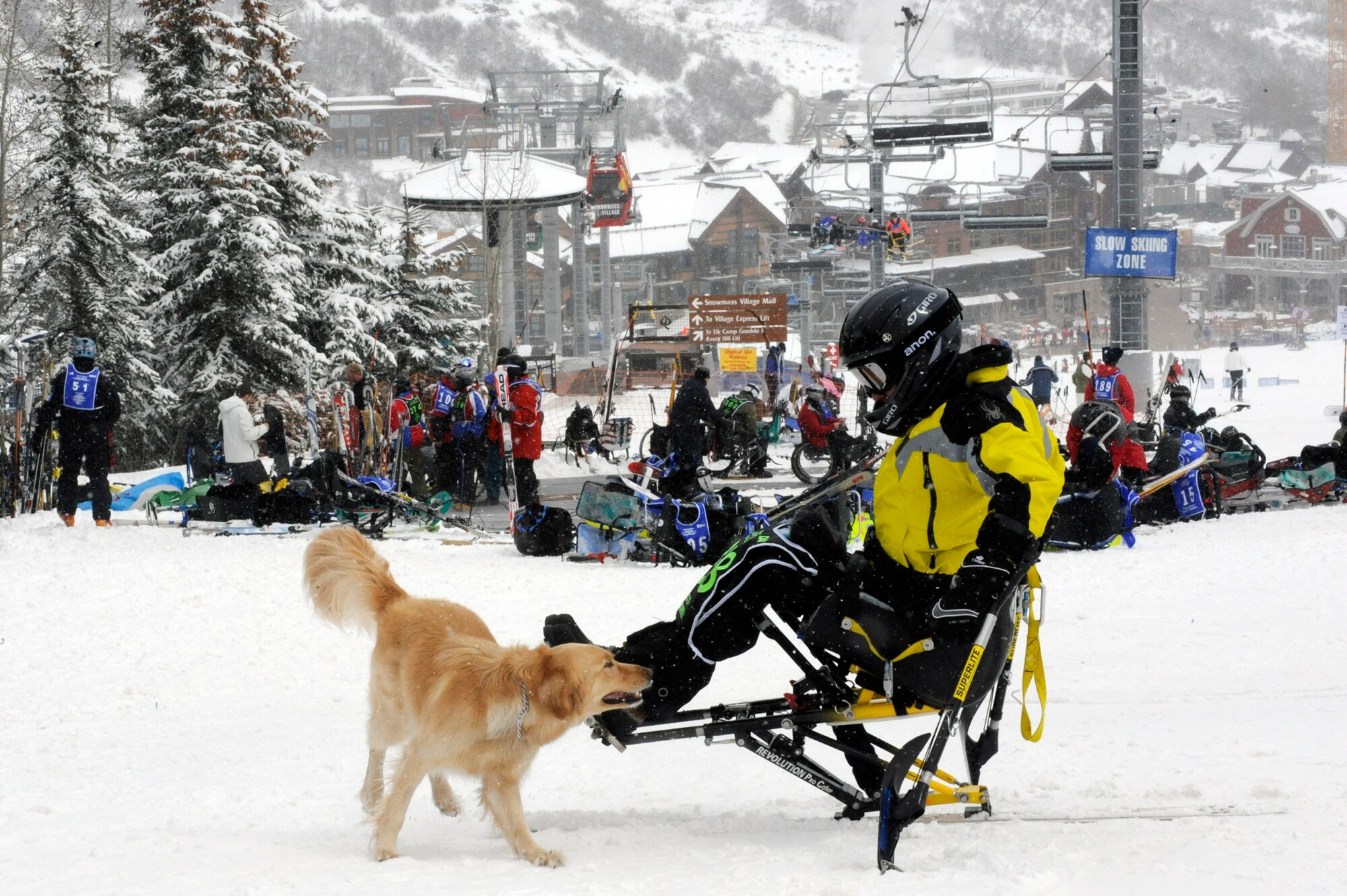 Russell Wolfe waits his turn to mono-ski with the help of an instructor while his dog, Noelle, keeps him company during the 23rd National Disabled Veterans Winter Sports Clinic held March 30 at the Snowmass Village, Colo. Mr. Wolfe is prior Army and is from Widnoon, Penn. (U.S. Air Force photo/Staff Sgt. Desiree N. Palacios)