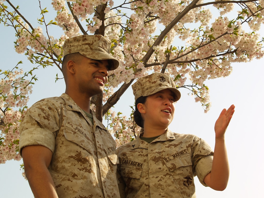 Lance Cpl.’s Angel G. Frias and Jenny Cartagena talk beside one of the many cherry trees blossoming across base. For nearly two weeks every year cherry trees across the world blossom. The trees are indigenous to Japan and have become a symbol of Japanese culture. The cherry blossom is featured on the 100 yen coin and is the name of the station’s theater, Sakura, the Japanese word for cherry blossoms.