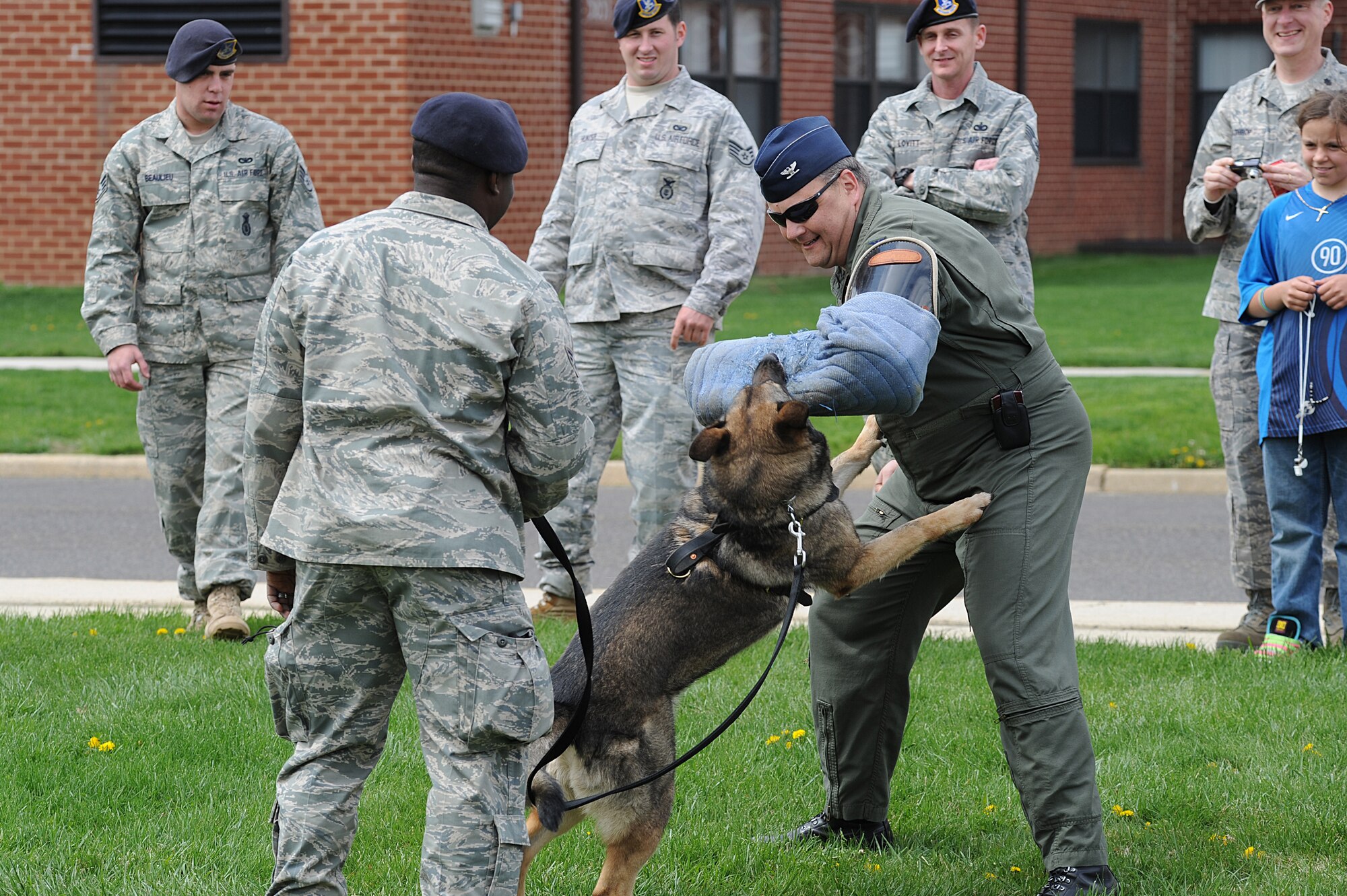 Col. Darryl Stankevitz, Mobility Operations School deputy director, presents a bite sleeve to a military working dog during a demonstration April 23 as part of "Bring Your Child to Work Day" at the U.S. Air Force Expeditionary Center on Fort Dix, N.J.  The day included physical training, vehicle static display, a military working dog demo and explosive ordinance disposal demo.   (U.S. Air Force Photo/Staff Sgt. Nathan G. Bevier) 