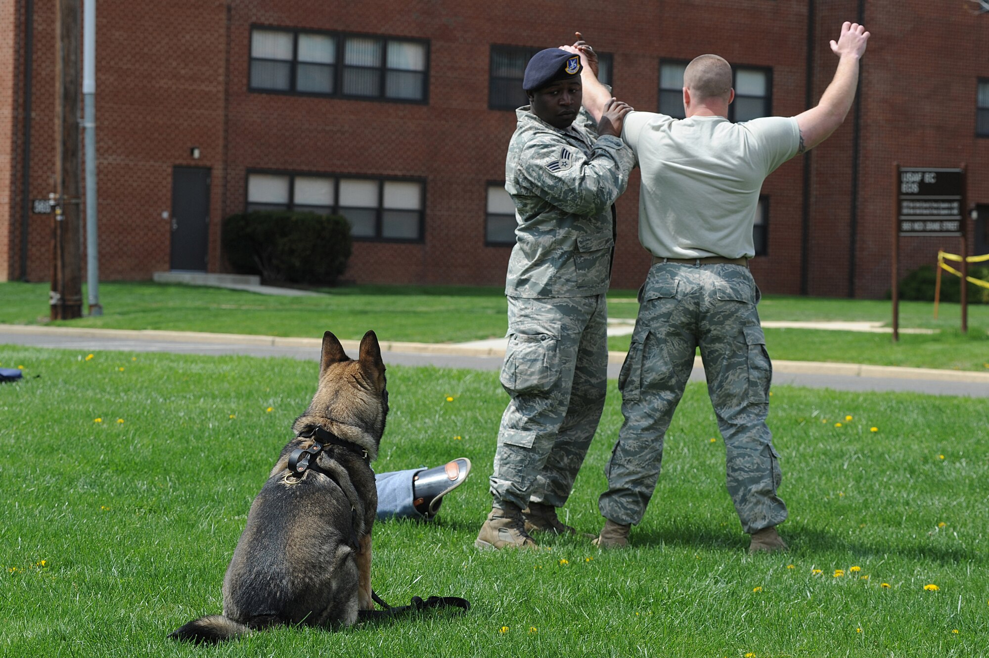 Senior Airman Rodreques Boyd, 87th Security Forces Squadron military working dog handler, searches a "suspect" during a military working dog demonstration for Airmen and their children April 23 as part of "Bring Your Child to Work Day" at the U.S. Air Force Expeditionary Center on Fort Dix, N.J.  The day included physical training, vehicle static display, a military working dog demo and explosive ordinance disposal demo.   (U.S. Air Force Photo/Staff Sgt. Nathan G. Bevier) 