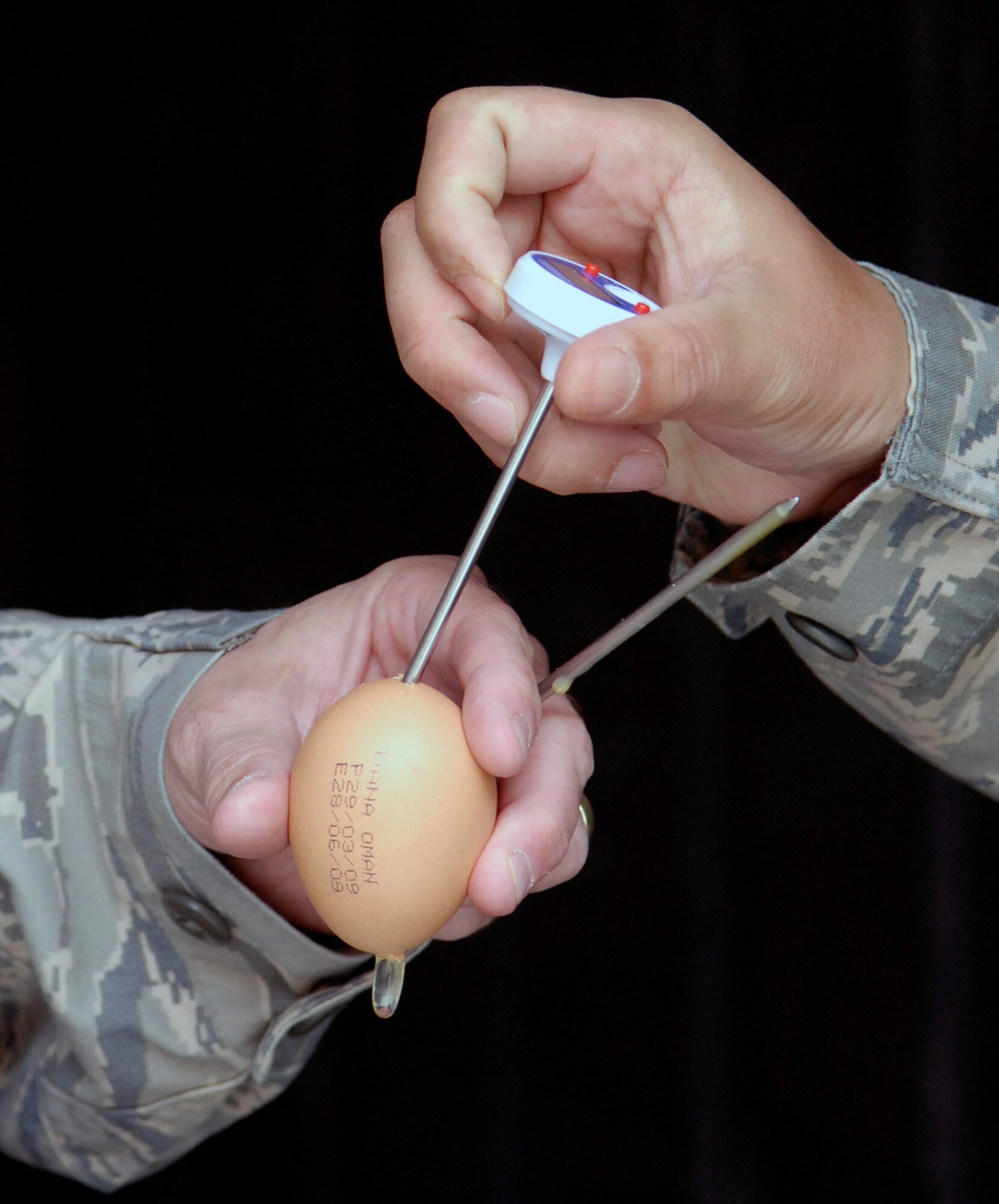 Staff Sgt. Rommel Hernandez and Tech. Sgt. Duwayne Foster take the temperature of an egg to ensure it is properly refrigerated during their monthly dining facility inspection April 18 at an air base in Southwest Asia. The public health office inspects the dining facilities, checks personnel medical records, and provides medical intelligence for forward deployers. Sergeant Hernandez is a 379th Expeditionary Medical Group public health inspector and hails from Arlington, Va. Sergeant Foster is the 379th EMDG NCO in charge of public health and hails from Mobile, Ala. Both are deployed from Keesler Air Force Base, Miss. (U.S. Air Force photo/Senior Airman Andrew Satran) 
