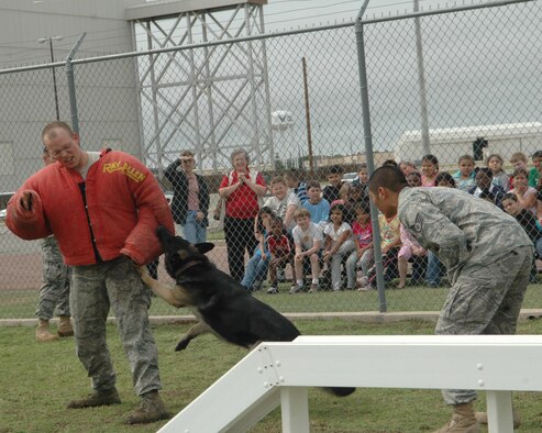 ALTUS AIR FORCE BASE, Okla. –97th Security Forces Squadron’s Senior Airman Joshua Newbrey, Staff Sgt. Lino Estacion and Endy, military working dog (MWD), perform a fleeing suspect demonstration for the ASPIRE, After School Program Intervention Remediation Enrichment, students of Altus.  Endy is an explosive/patrol trained MWD who has recently returned from deployment to Afghanistan with handler Staff Sgt. James Hall. While deployed Endy responded and found 3 pressure plate Improvised Explosive Devices’s and 15 caches with over 800 pounds of weapons and explosives recovered. (U.S. Air Force photo/Airman 1st Class Leandra D. Hernandez)
