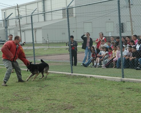 ALTUS AIR FORCE BASE, Okla. – Senior Airman Joshua Newbrey, 97th Security Forces Squadron, acts as a decoy while Endy, the military working dog (MWD), performs a fleeing suspect demonstration for the ASPIRE, After School Program Intervention Remediation Enrichment, students of Altus.  Altus has seven MWD that are dual certified in detection and patrol attack. (U.S. Air Force photo/Airman 1st Class Leandra D. Hernandez)